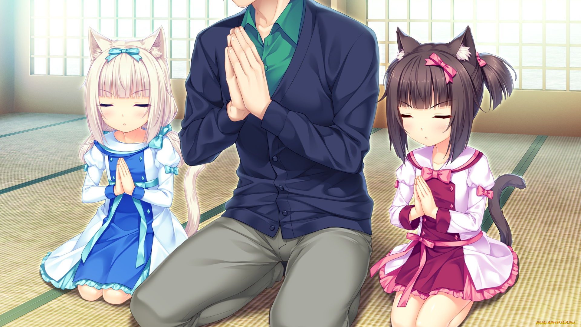 аниме, nekopara, взгляд, фон, девушки