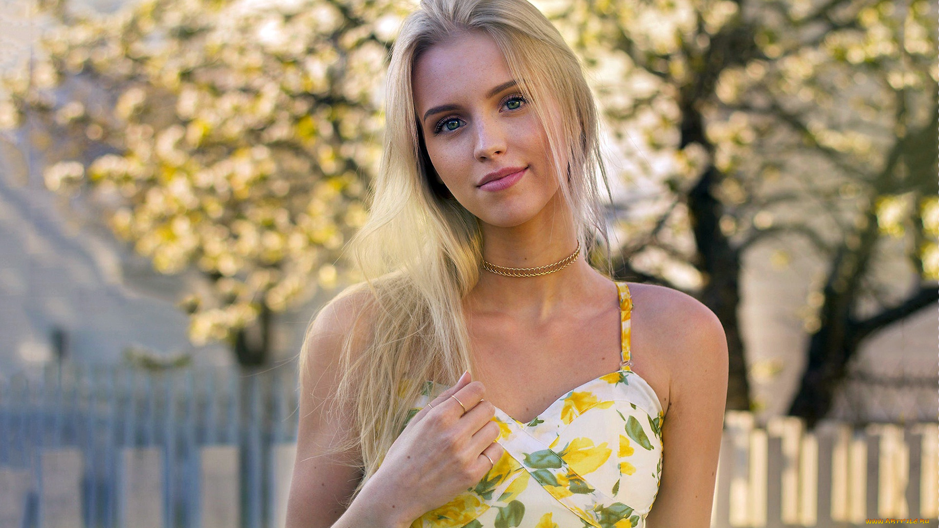 девушка, девушки, -unsort, , блондинки, , светловолосые, модель