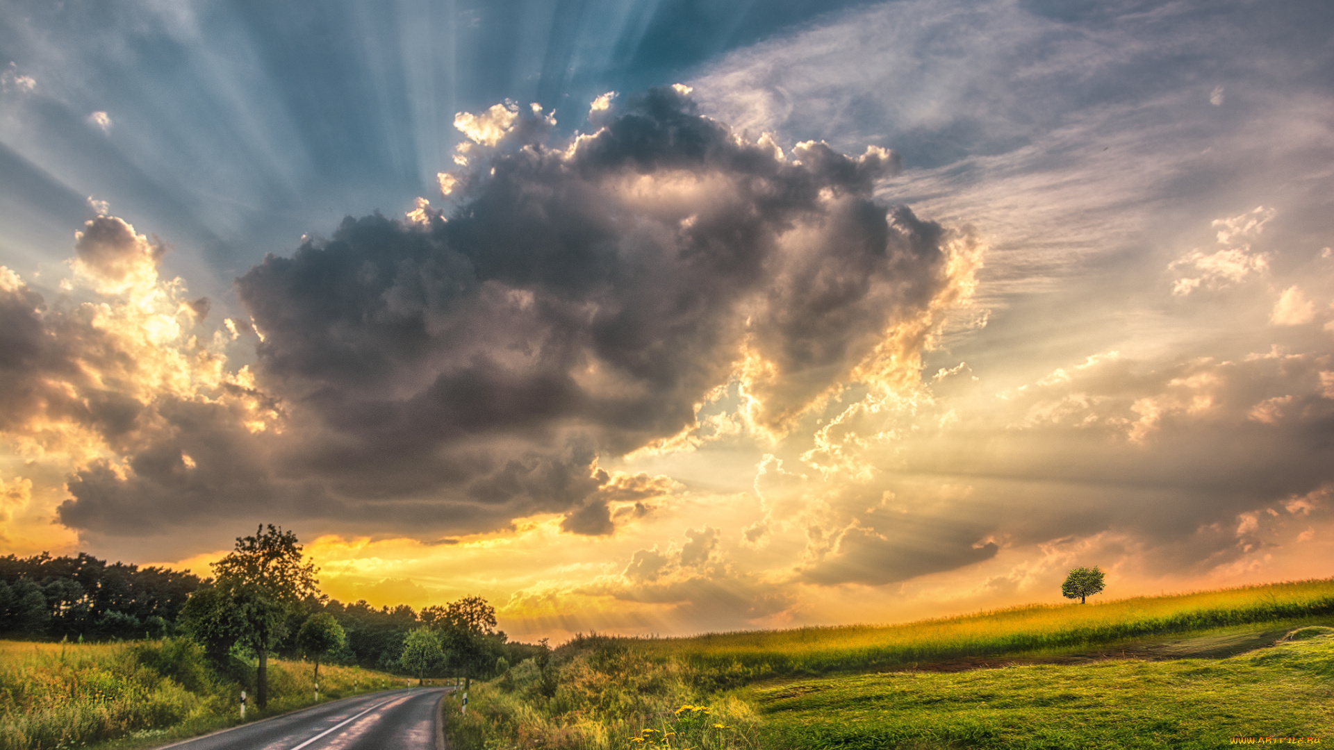 природа, дороги, простор