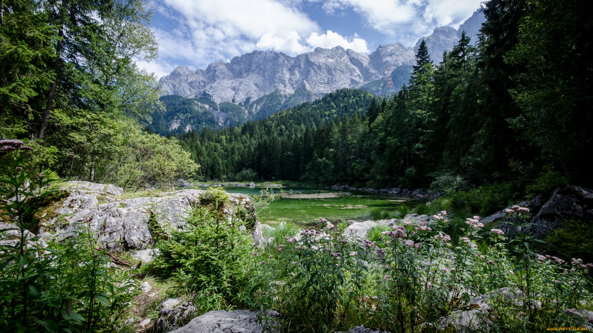 природа, реки, озера, простор