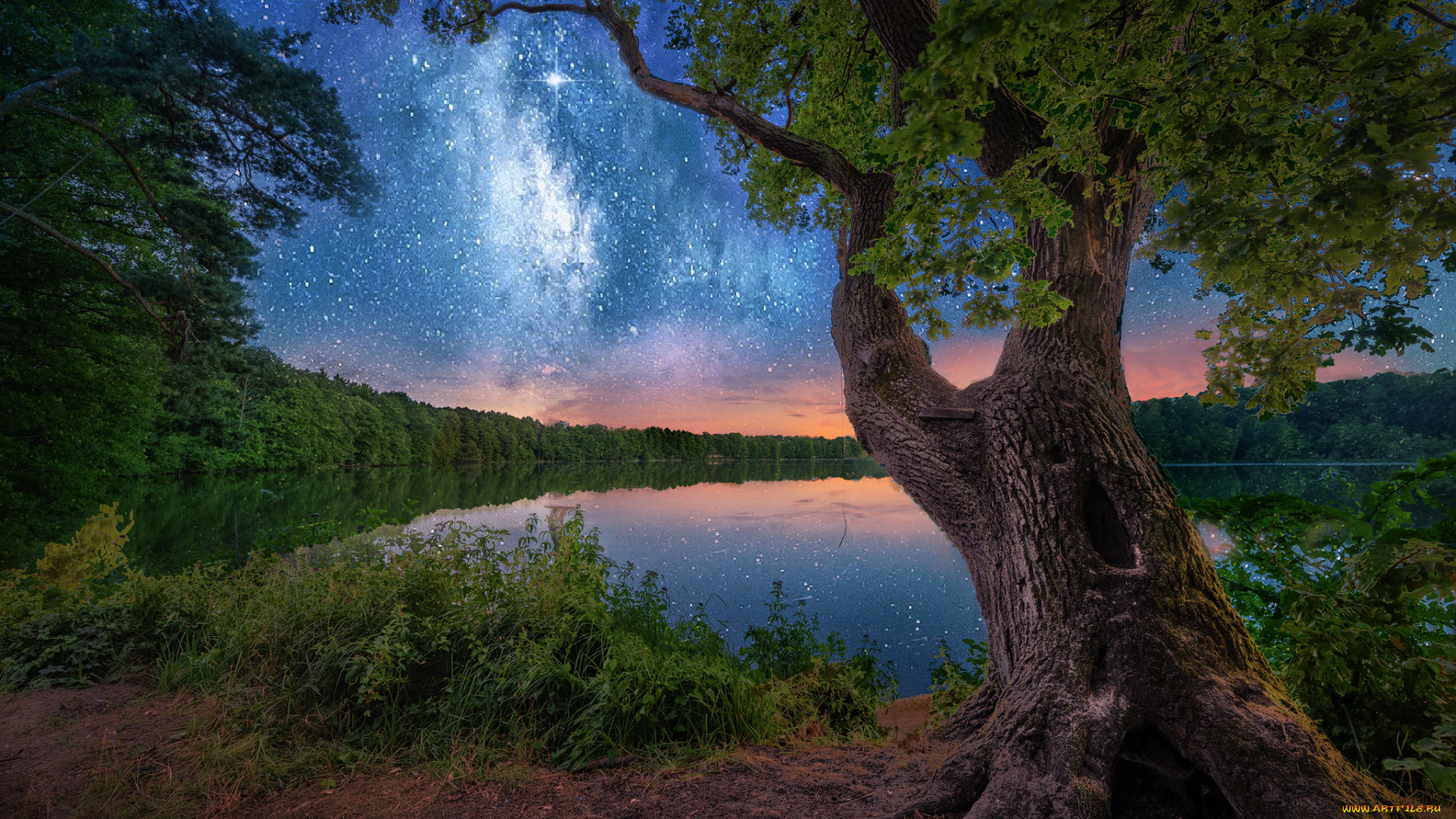 природа, реки, озера, простор