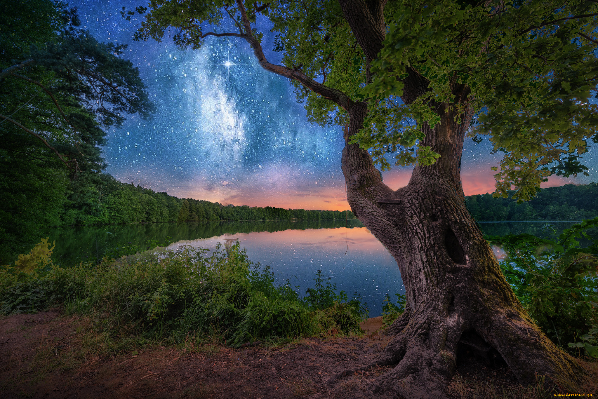 природа, реки, озера, простор