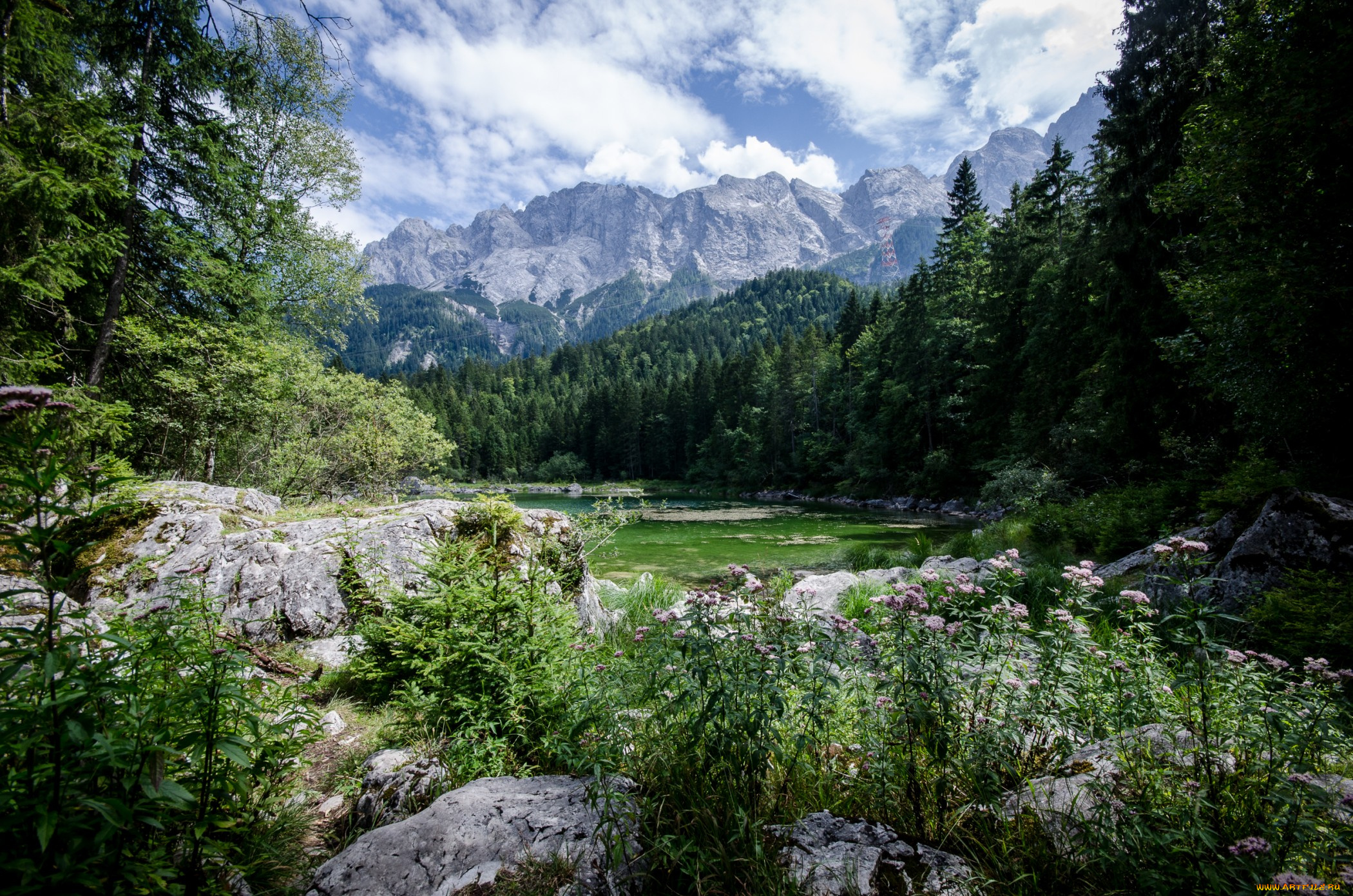 природа, реки, озера, простор