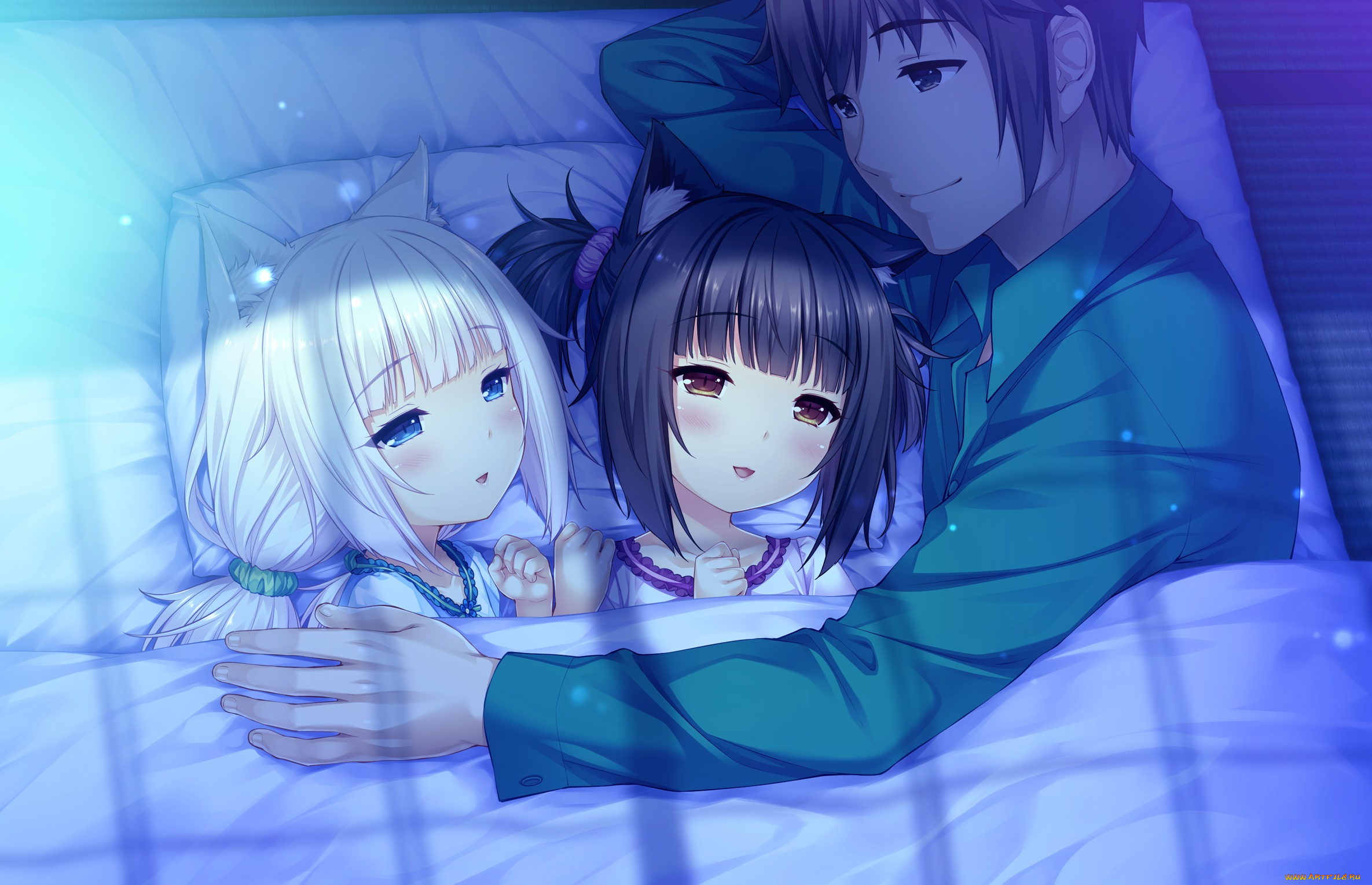 аниме, nekopara, девушки, фон, взгляд