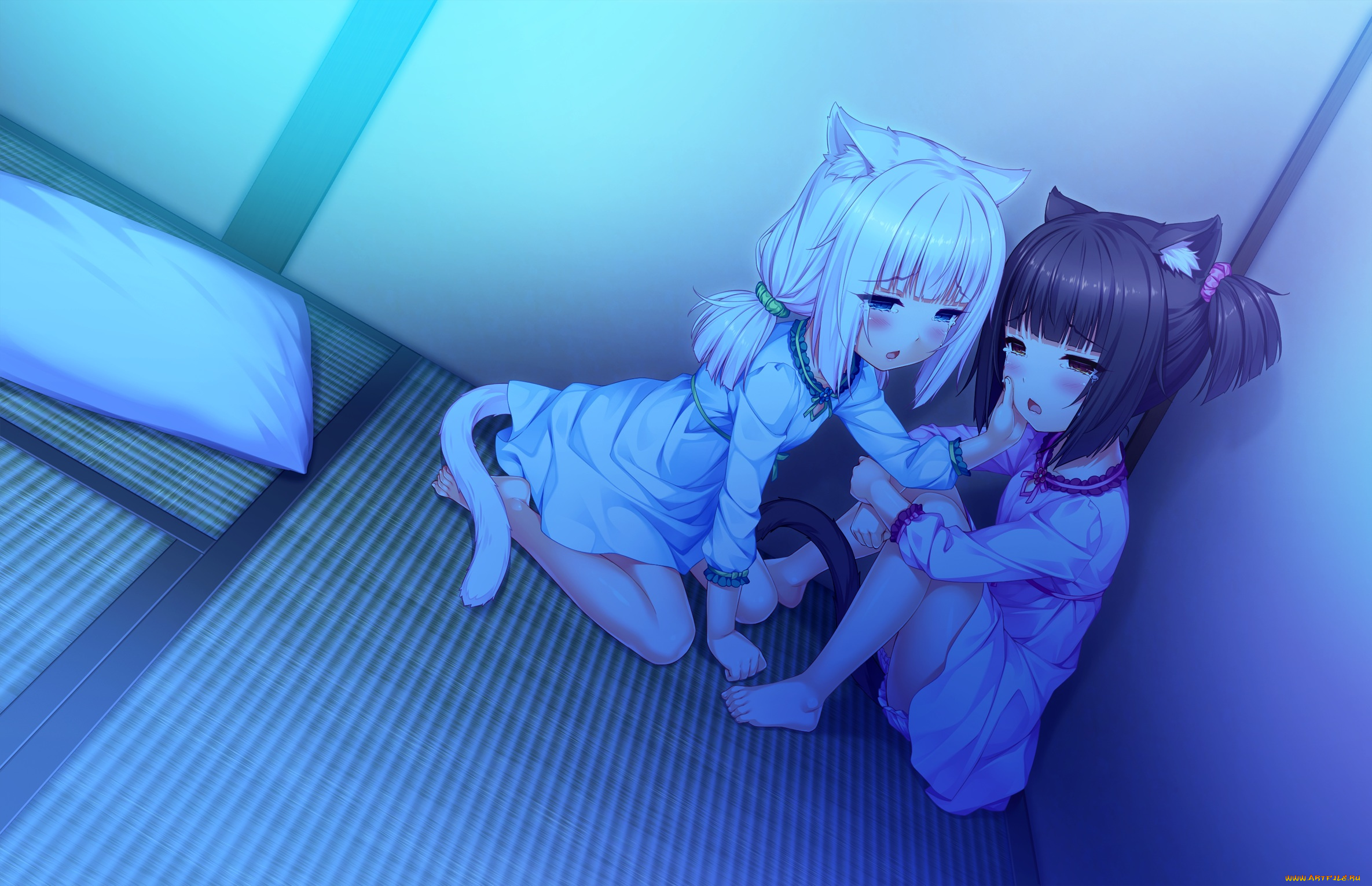 аниме, nekopara, фон, взгляд, девушки