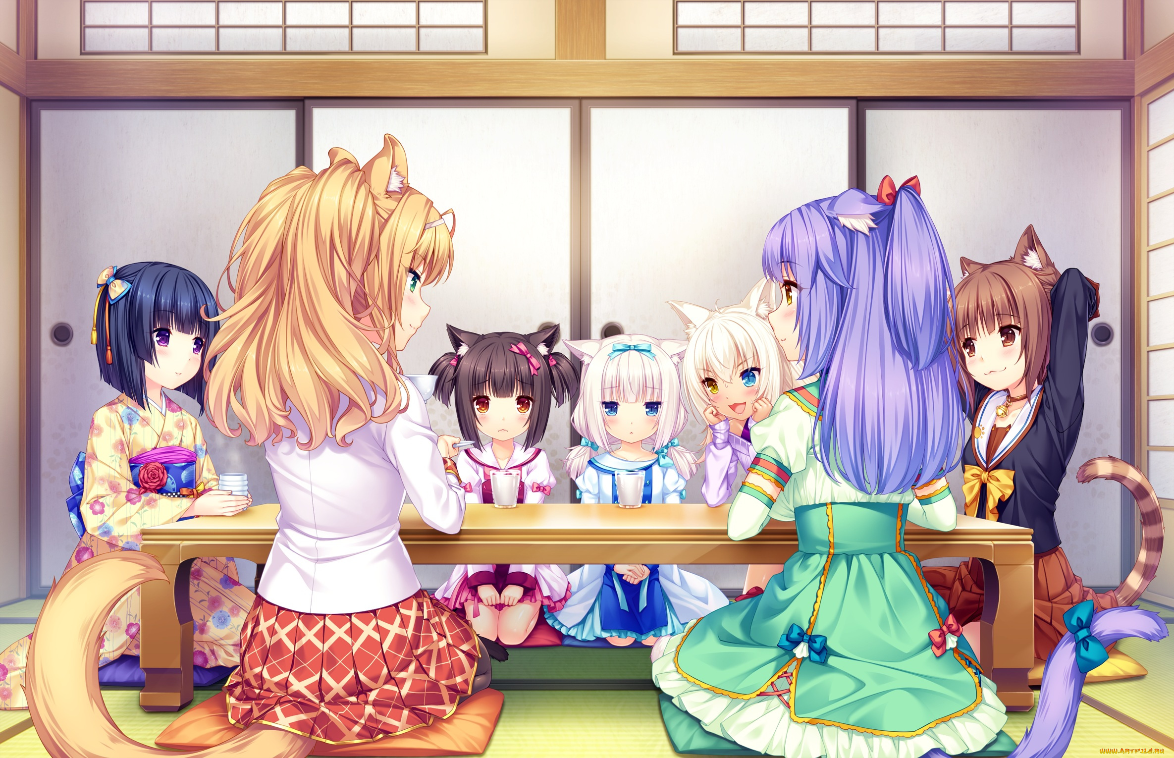 аниме, nekopara, взгляд, девушки, фон