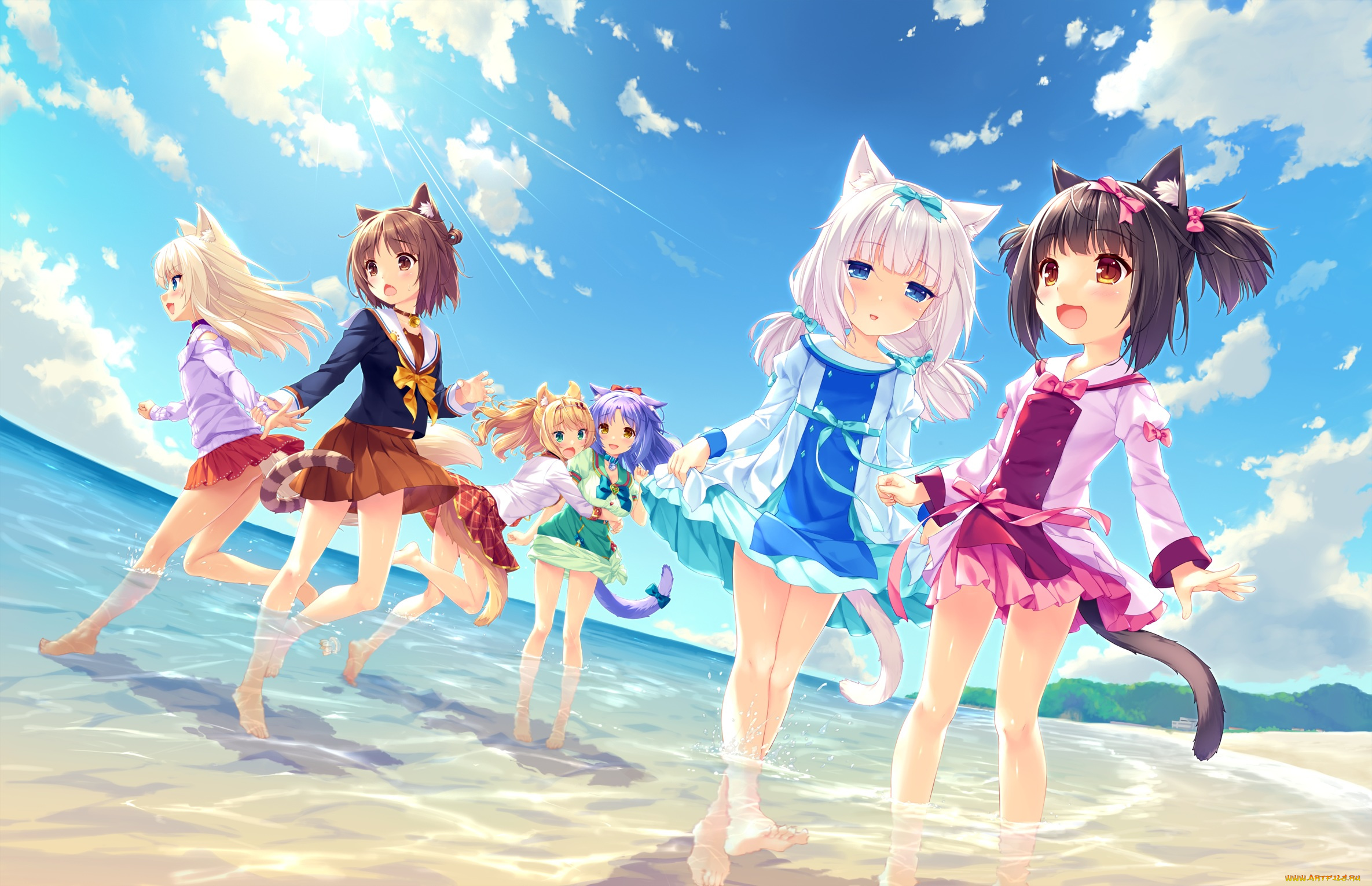 аниме, nekopara, взгляд, девушки, фон