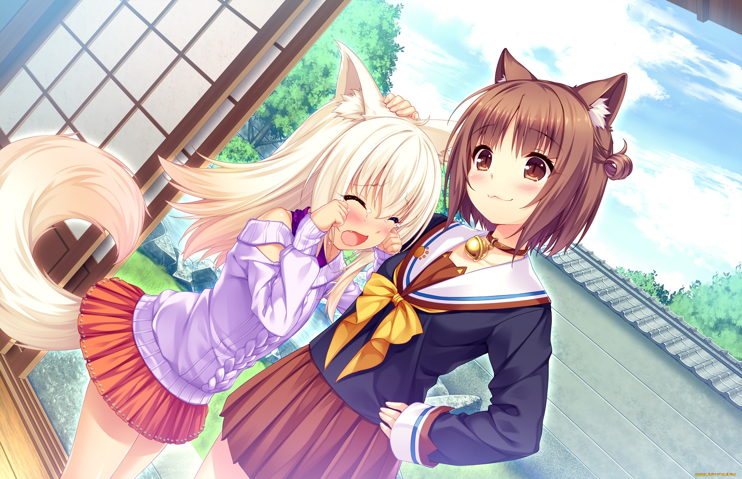 аниме, nekopara, взгляд, фон, девушки