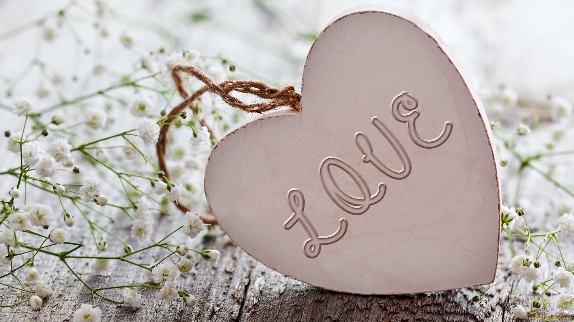 праздничные, день, святого, валентина, , сердечки, , любовь, гипсофила, сердечко