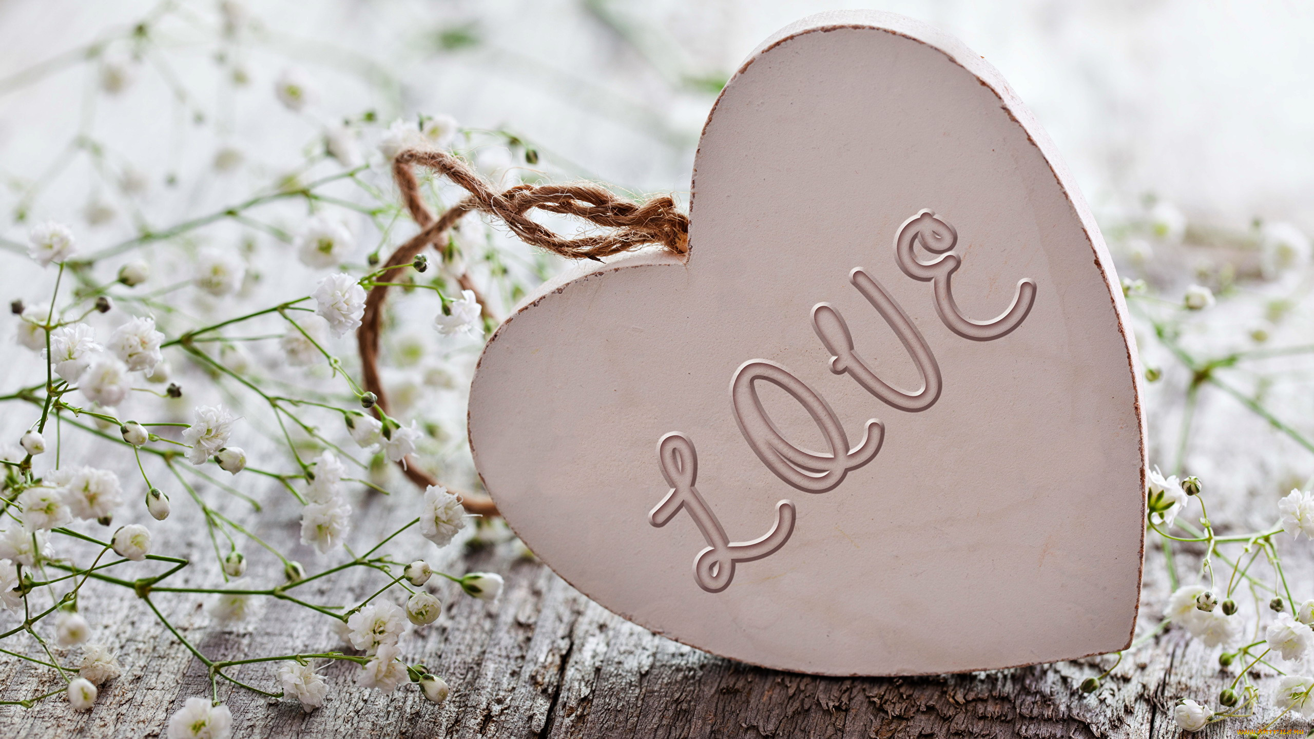 праздничные, день, святого, валентина, , сердечки, , любовь, гипсофила, сердечко