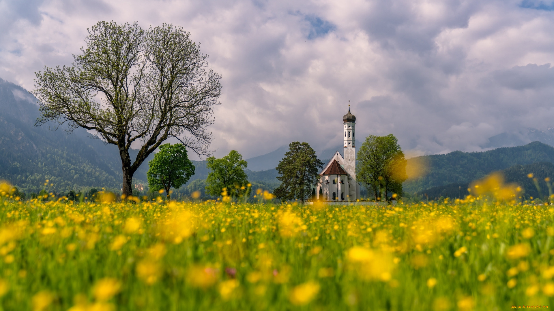 st, coloman, church, schwangau, bavaria, города, -, католические, соборы, , костелы, , аббатства, st, coloman, church