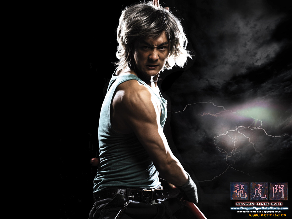 кино, фильмы, dragon, tiger, gate