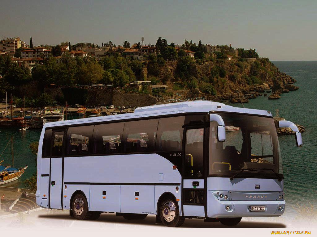 автомобили, автобусы