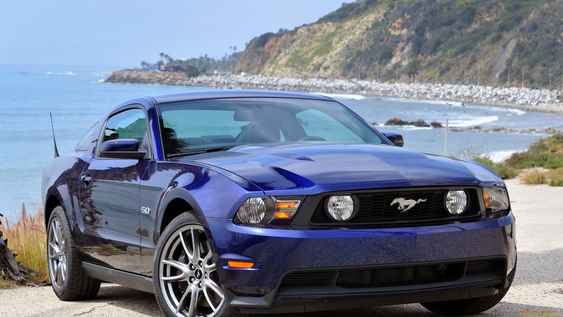 автомобили, mustang