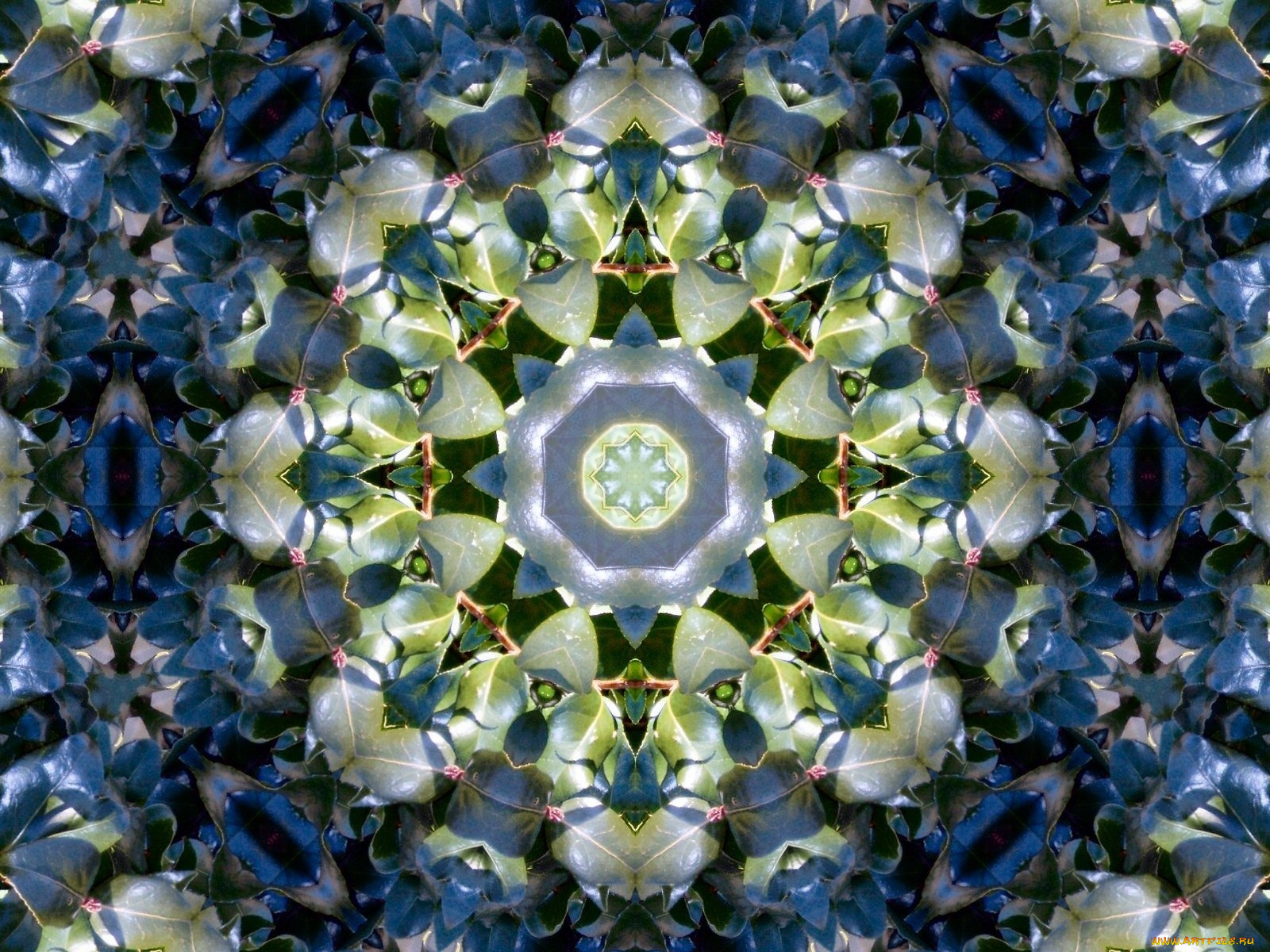 3д, графика, fractal, фракталы, абстракция, узор, цвета