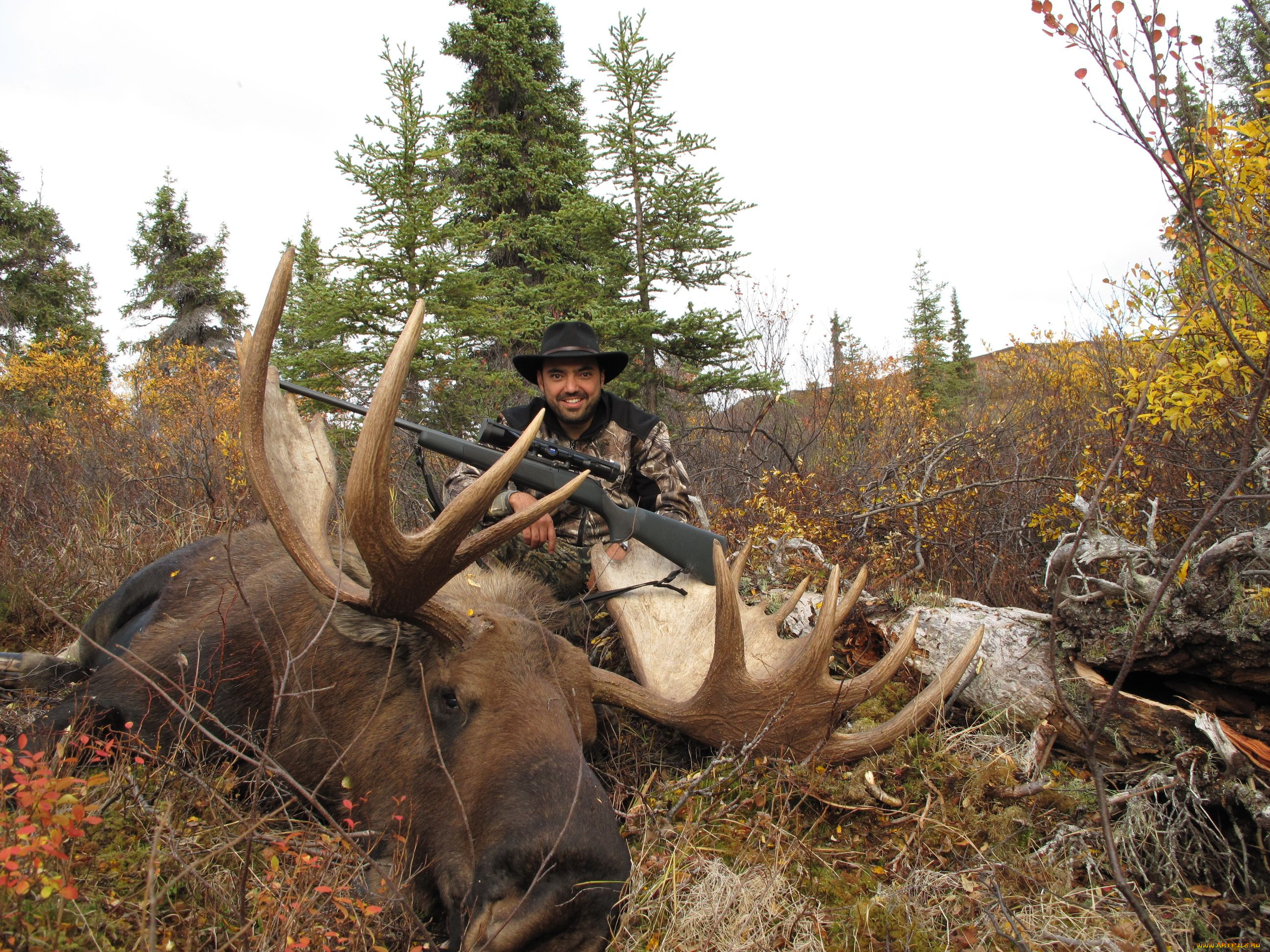 мужчины, unsort, охотник, лось