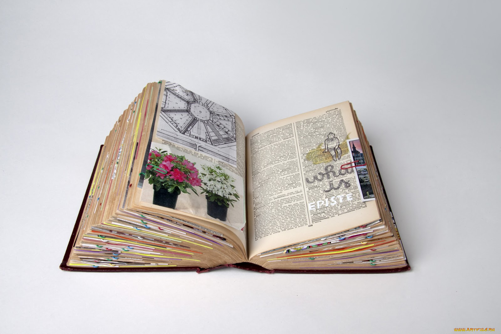 разное, канцелярия, книги, книга