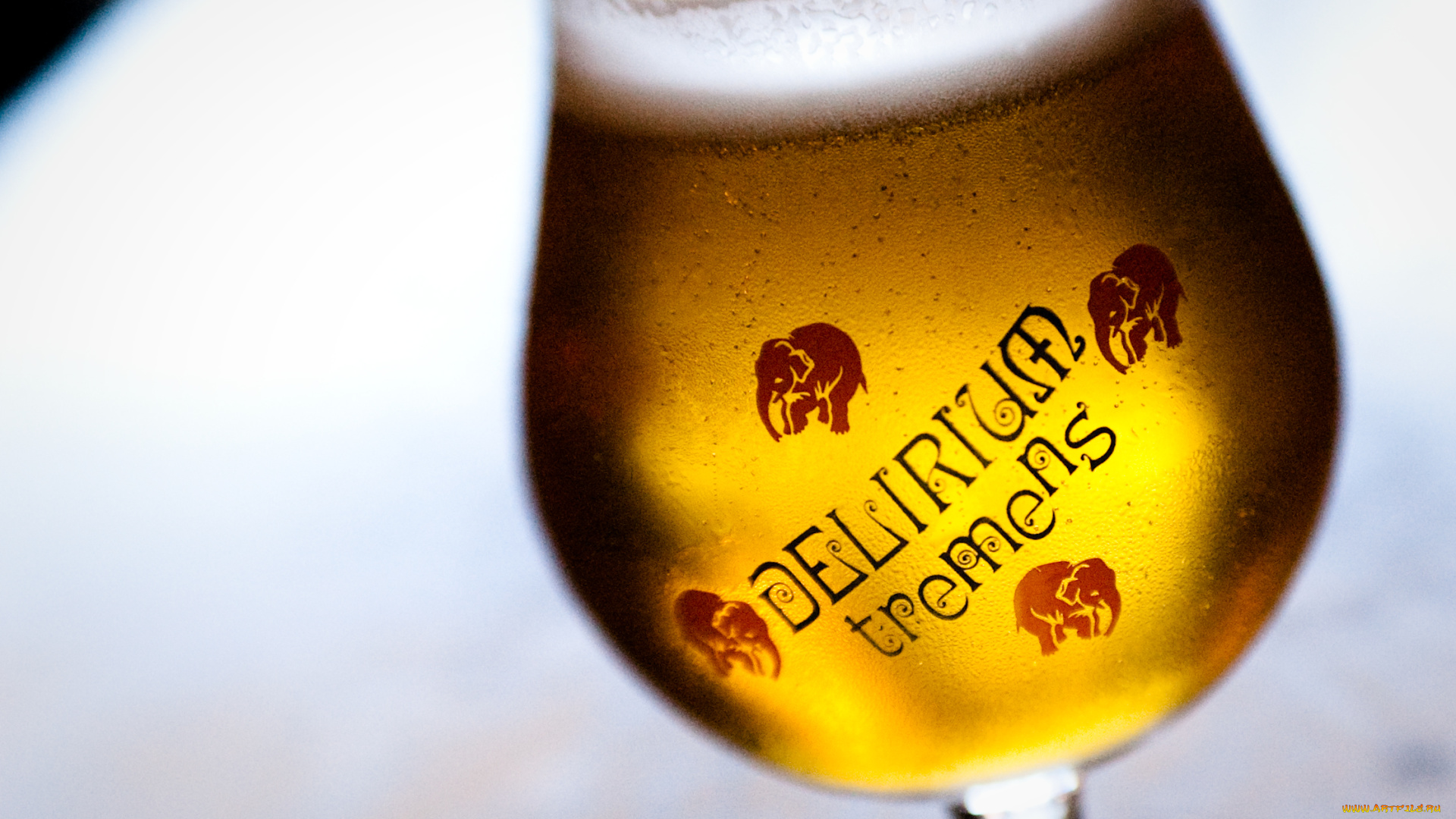 beer, еда, напитки, пиво, бокал