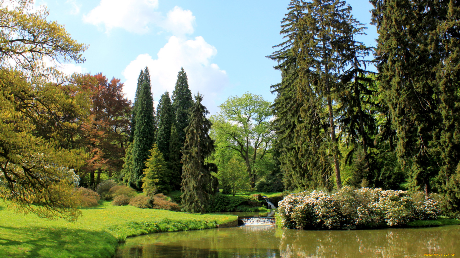 Чехия, pruhonice, природа, парк, цветы, деревья, река