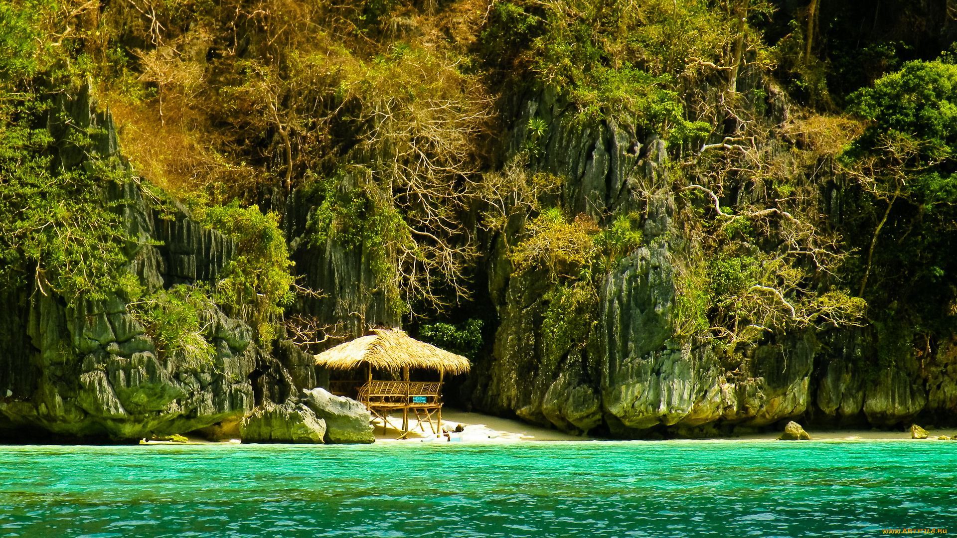 coron, palawan, islands, филиппины, природа, реки, озера, озеро