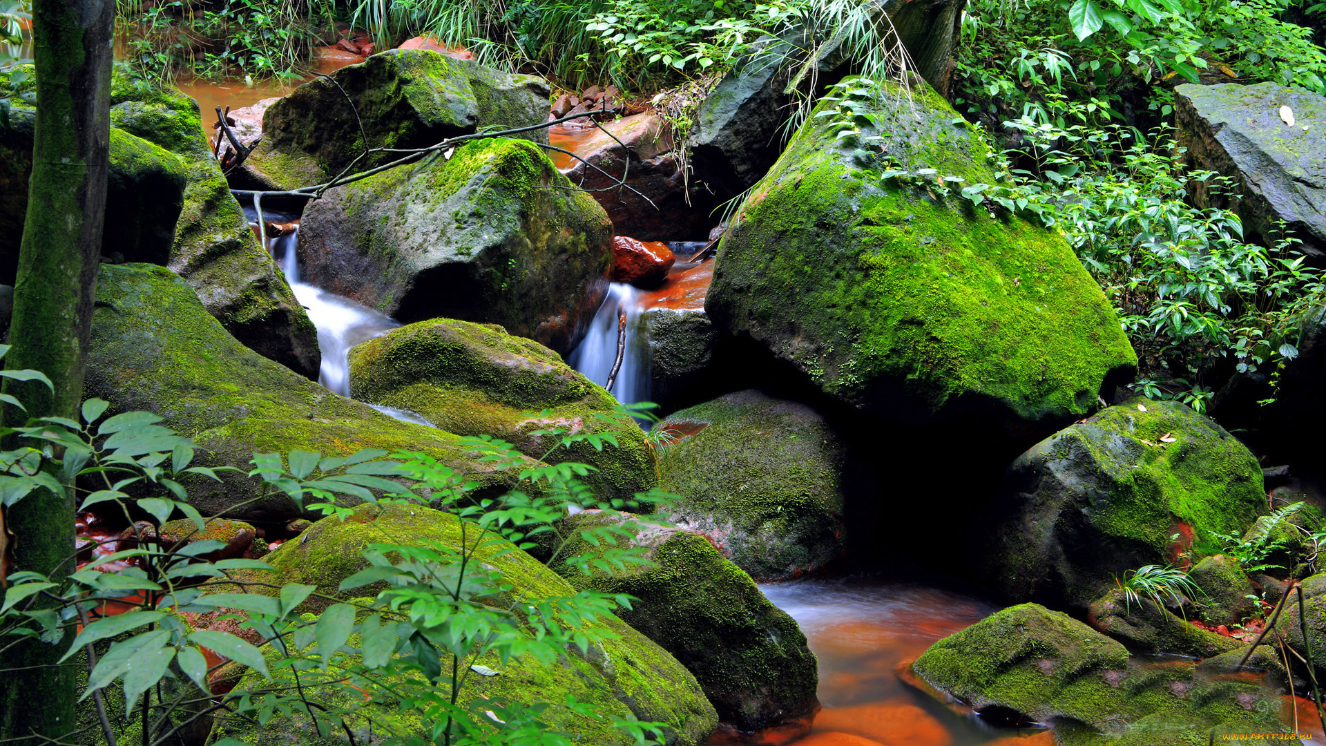 природа, реки, озера, мох, камни, ручей