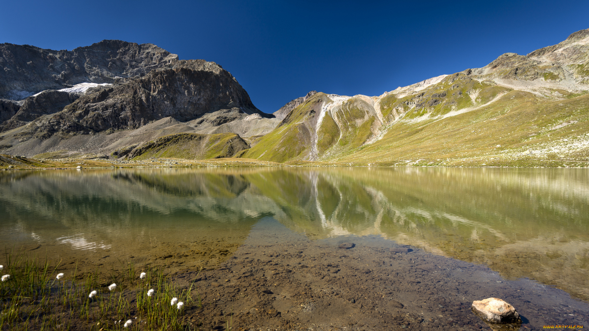 природа, реки, озера, озеро, отражение, холмы, цветы, камни, гладь, вода, горы