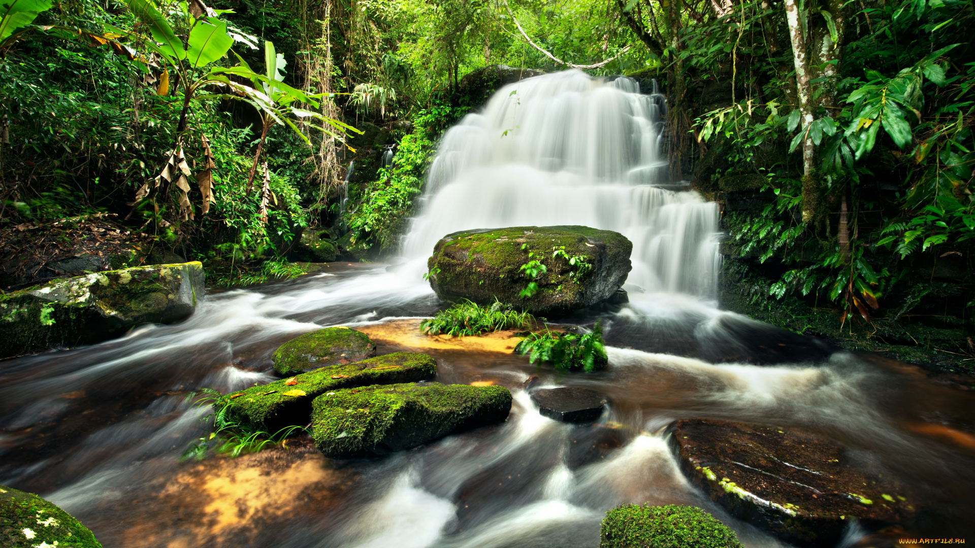 природа, водопады, джунгли, камни, лес, река
