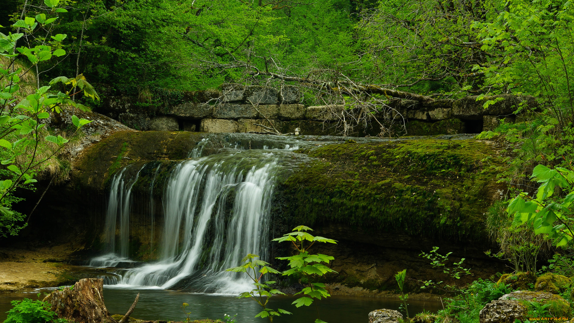 природа, водопады, водопад, лес, река