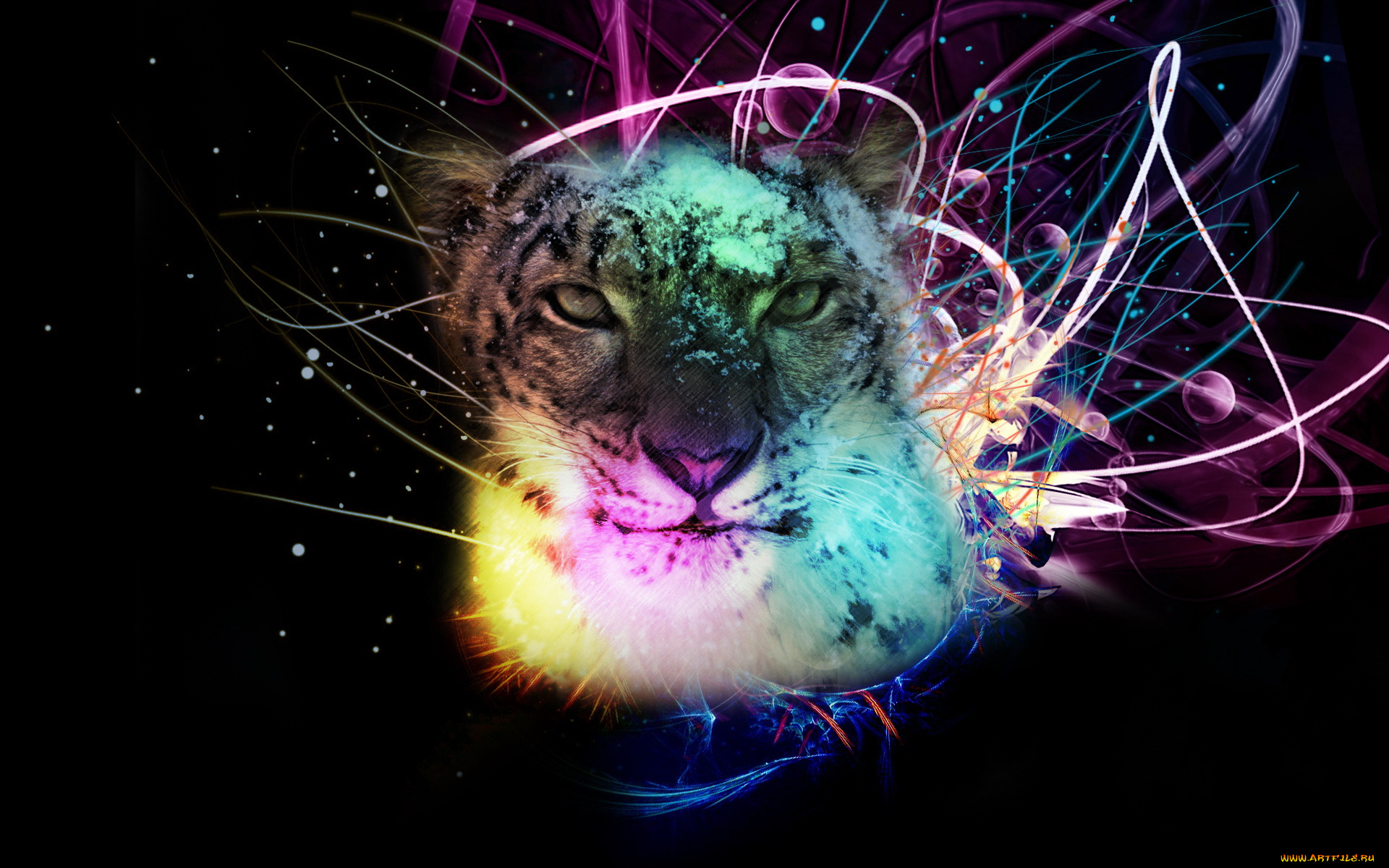 разное, компьютерный, дизайн, графика, тигр