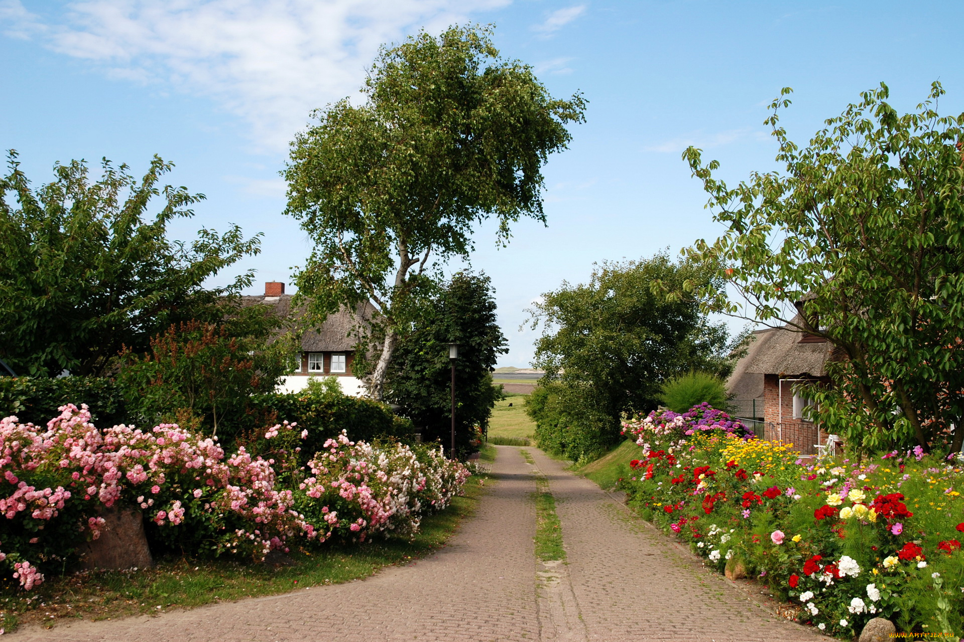 германия, нордорф, города, улицы, площади, набережные, улица, дома, сады