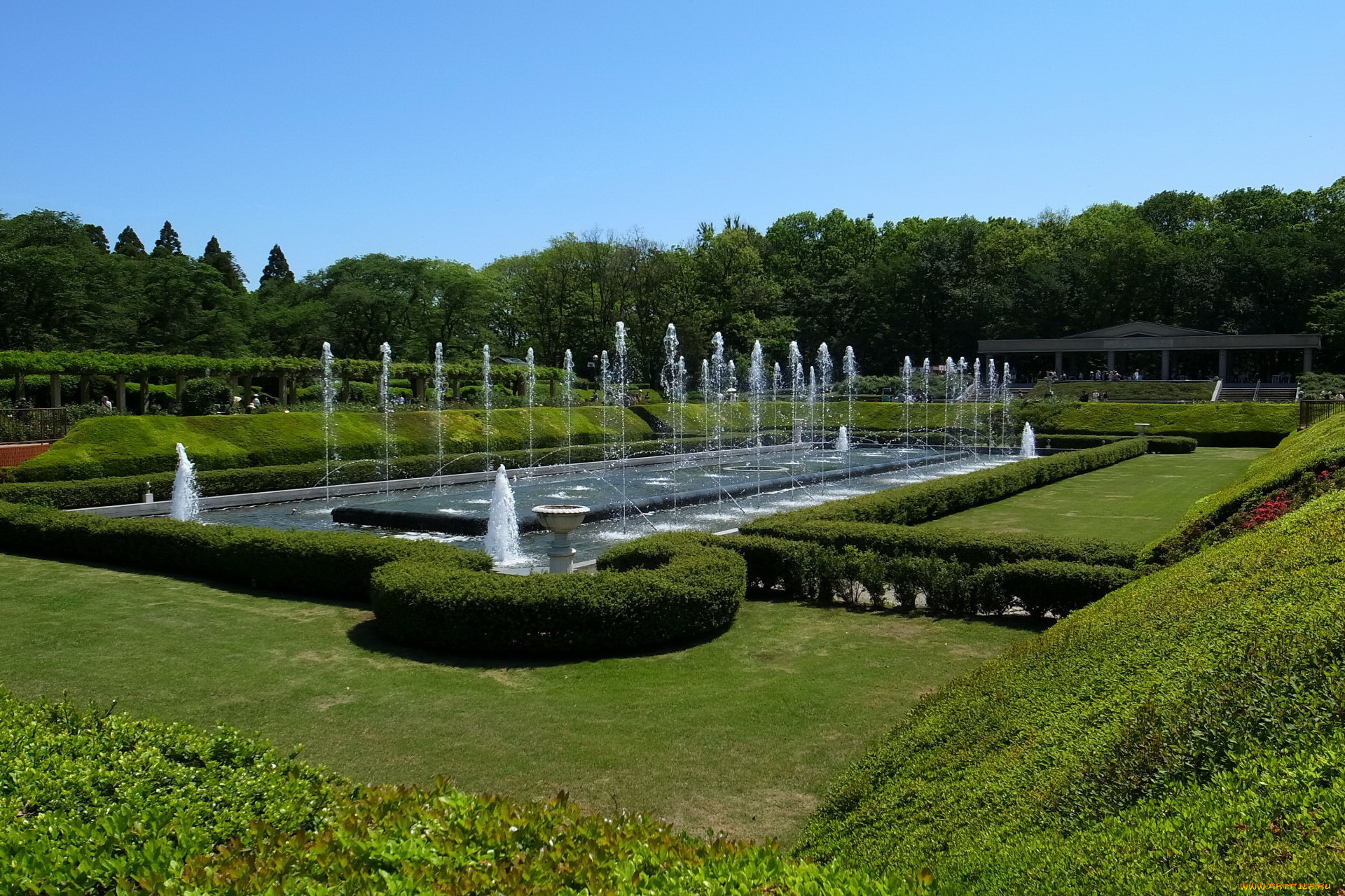 природа, парк, фонтаны, кусты, красивый, ретро, автомобиль