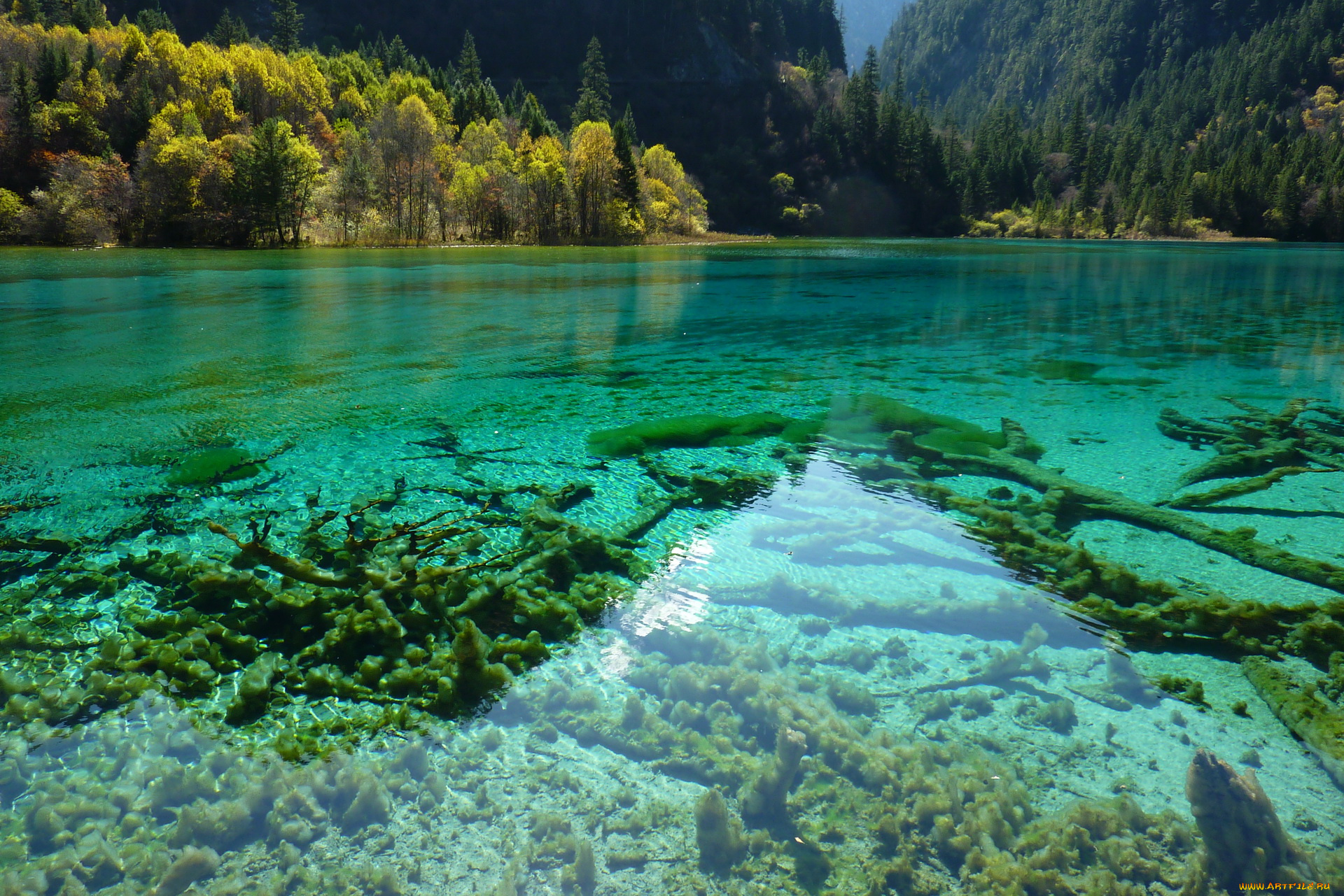 китай, jiuzhaigou, valley, panda, lake, природа, реки, озера