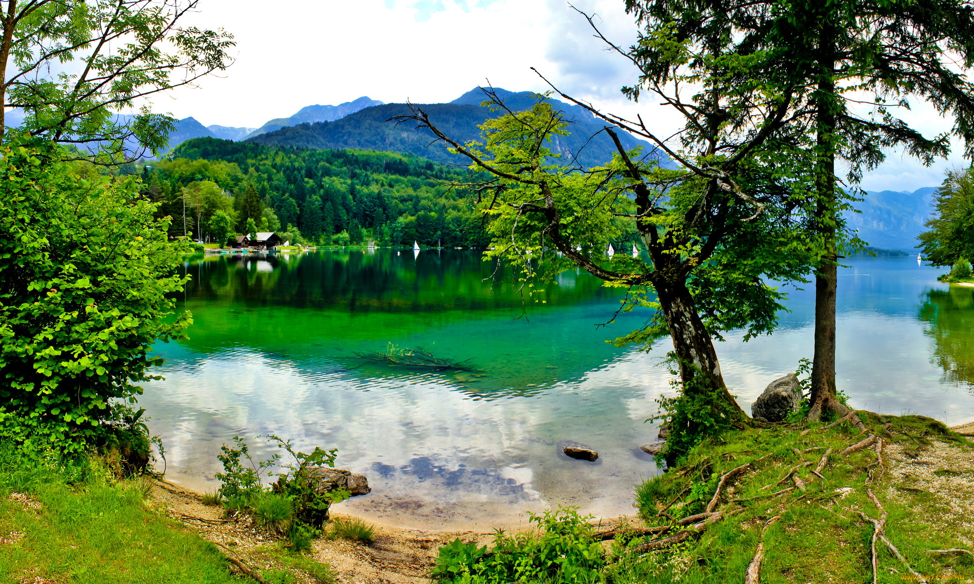 словения, bohinj, природа, реки, озера, река, лес, горы