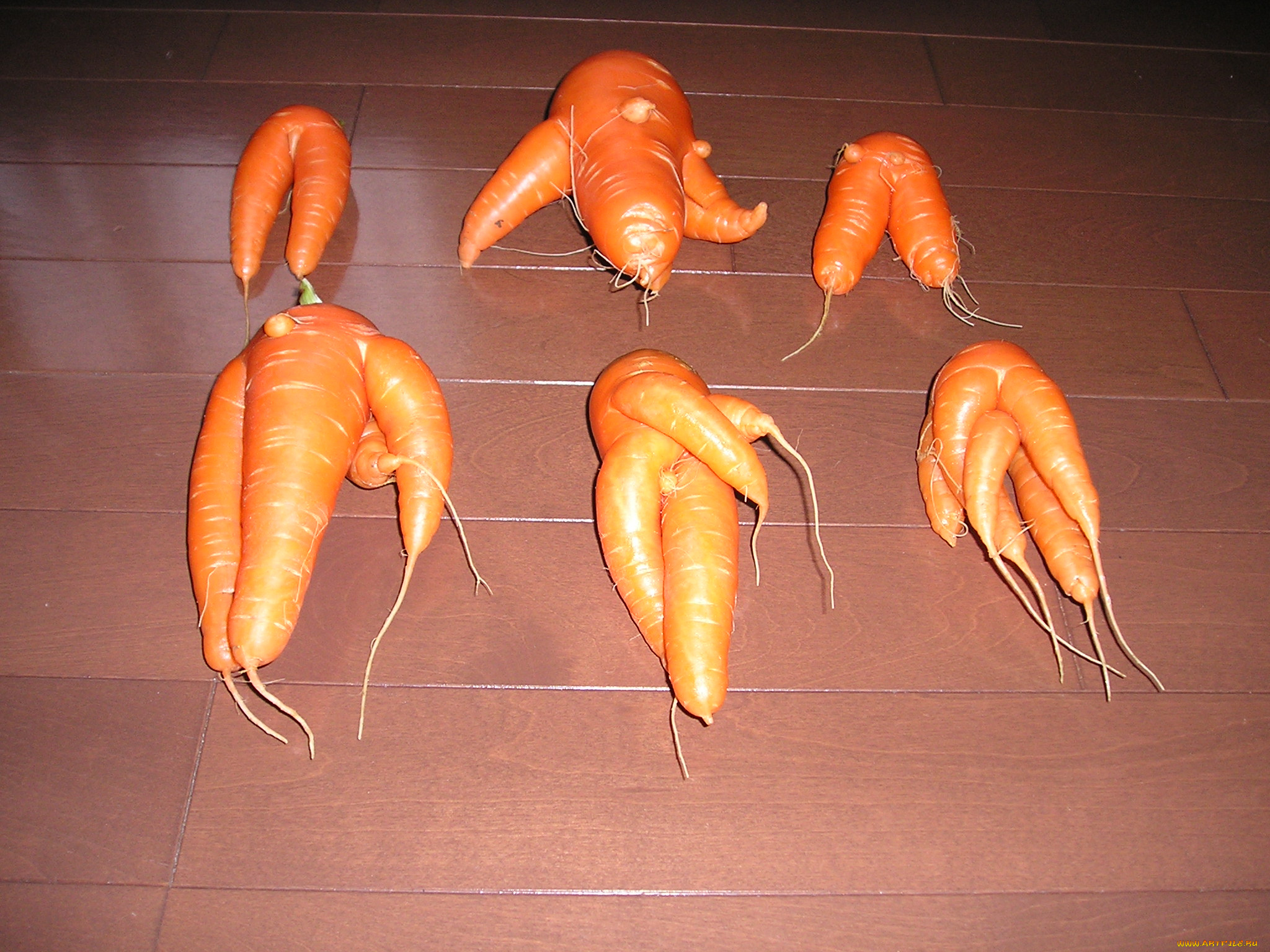 еда, морковь, стол