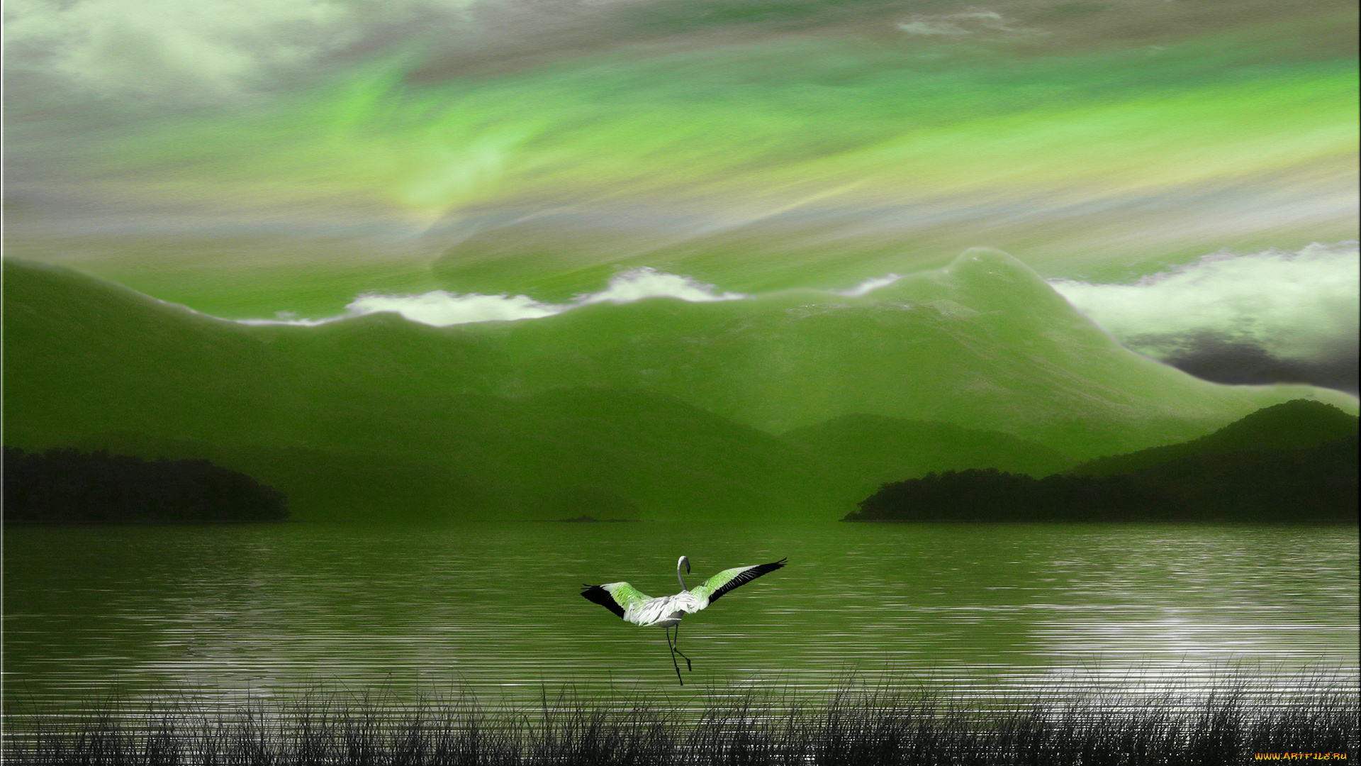 3д, графика, animals, животные, озеро, горы, дымка, фламинго