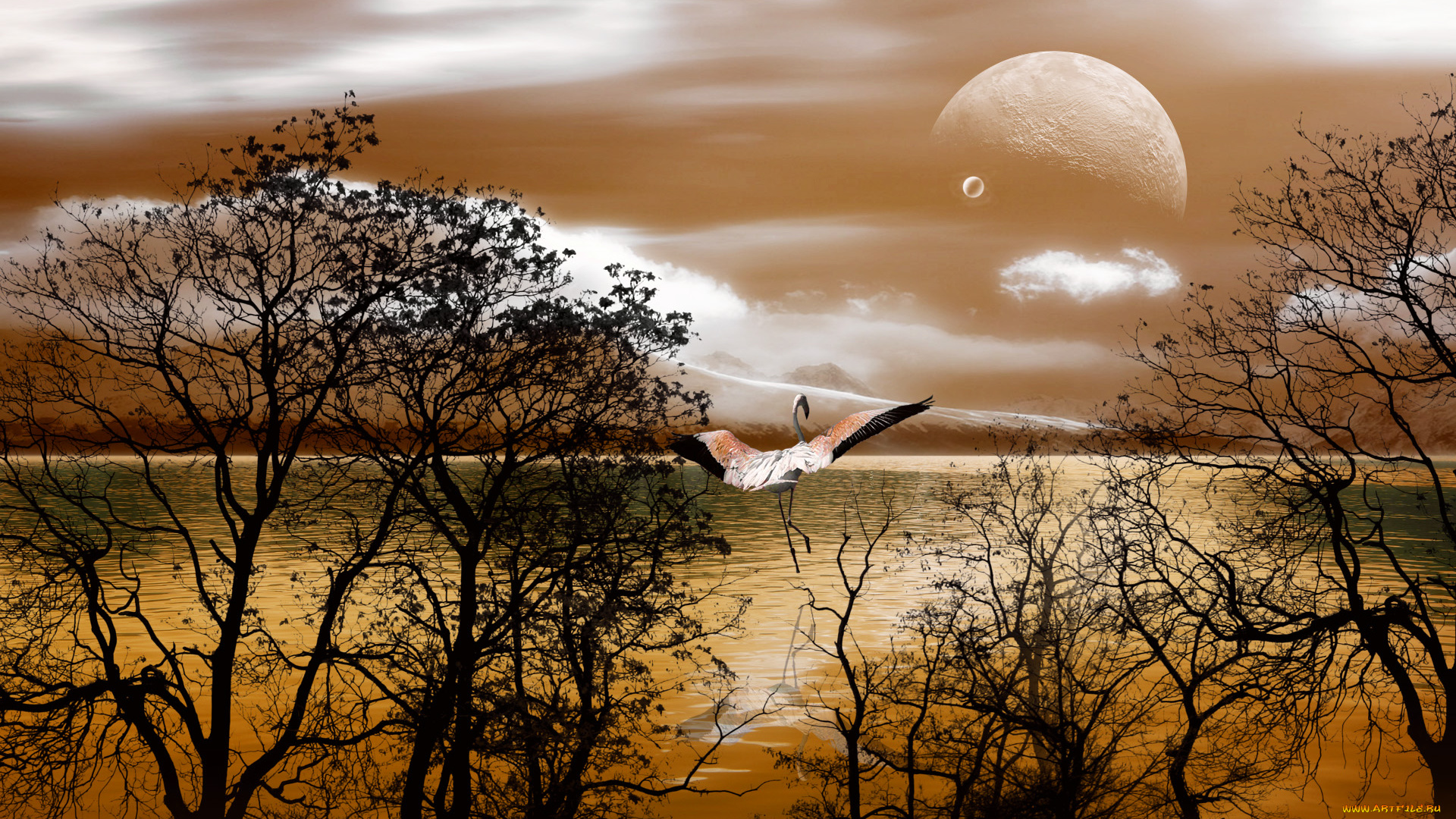 3д, графика, architecture, архитектура, планета, фламинго, отражение, озеро