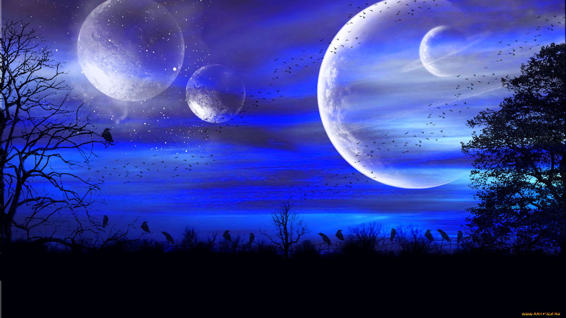 3д, графика, atmosphere, mood, атмосфера, настроения, птицы, деревья, ночь, небо, планеты, звезды