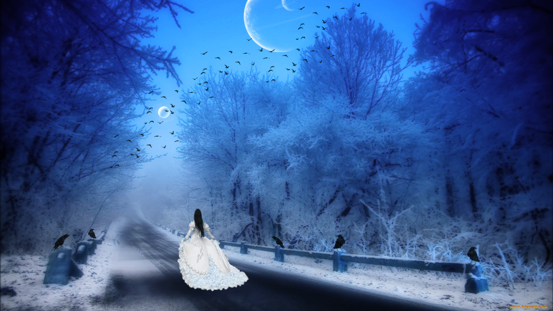3д, графика, atmosphere, mood, атмосфера, настроения, птицы, иней, зима, лес, девушка, дорога, планеты