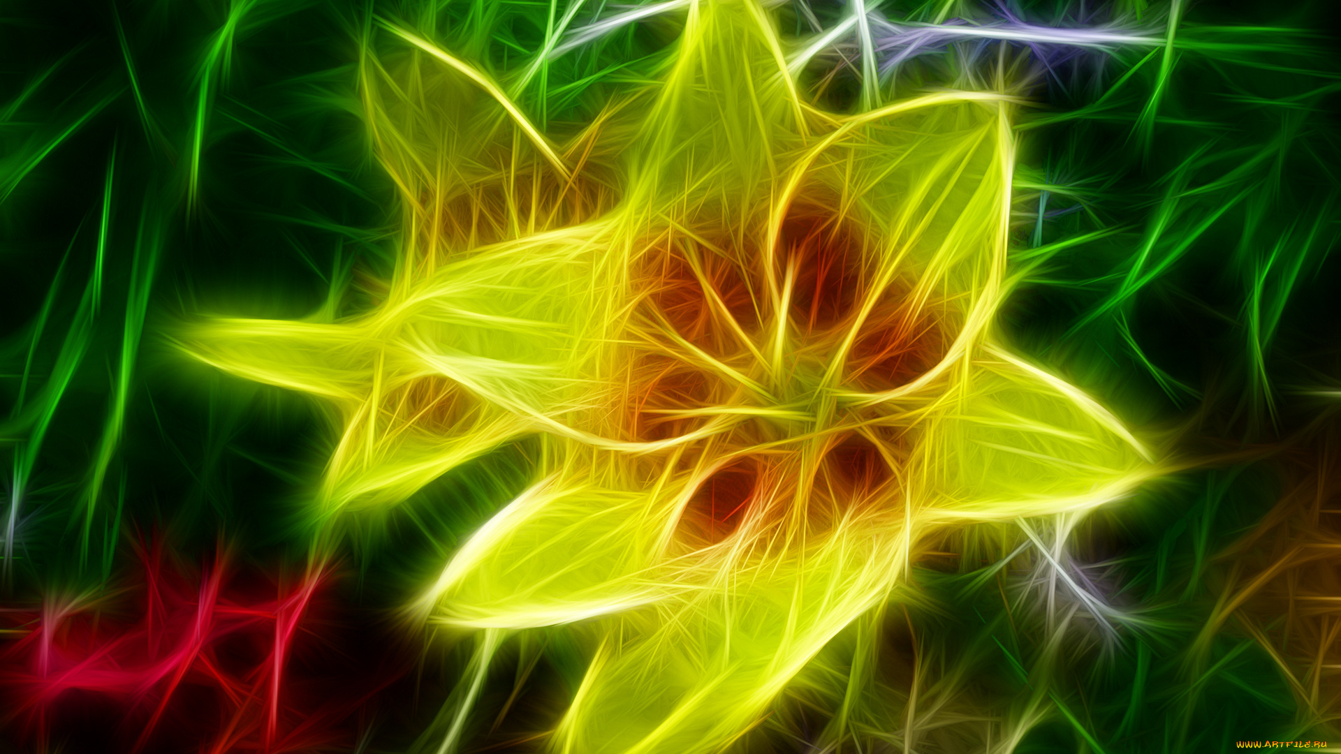 3д, графика, flowers, цветы, лепестки