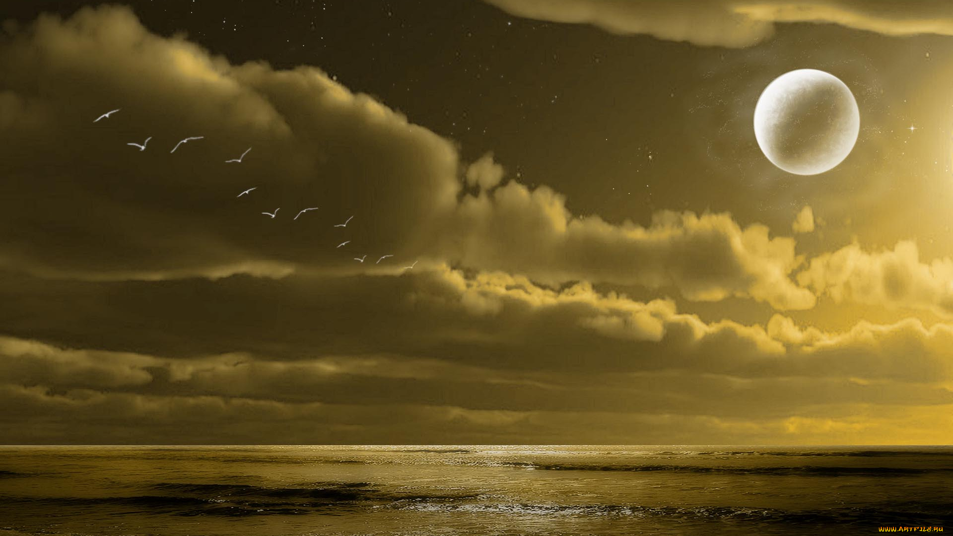 3д, графика, sea, undersea, море, птицы, горизонт, океан, тучи, планета