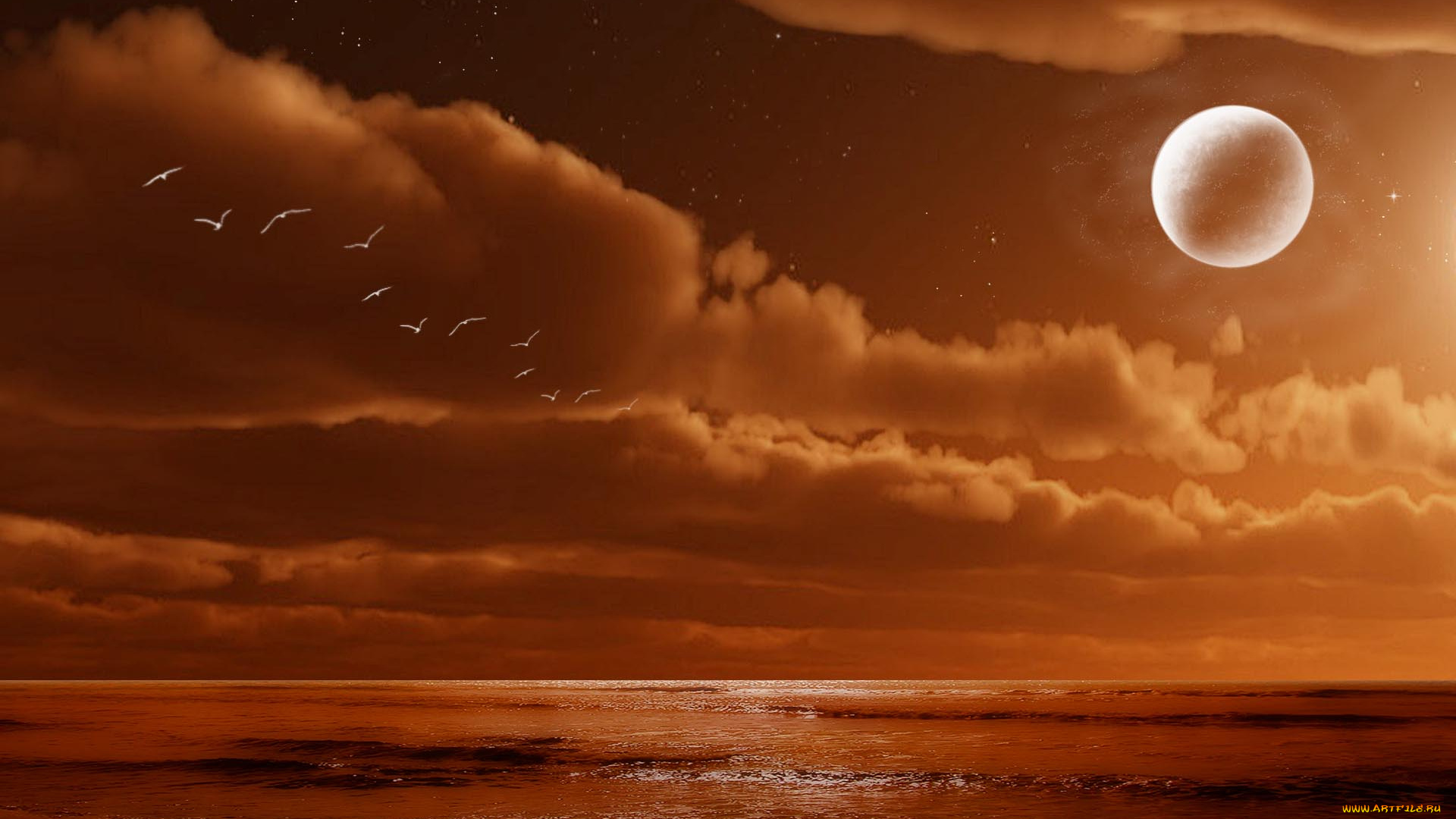 3д, графика, sea, undersea, море, птицы, океан, планета, тучи, горизонт