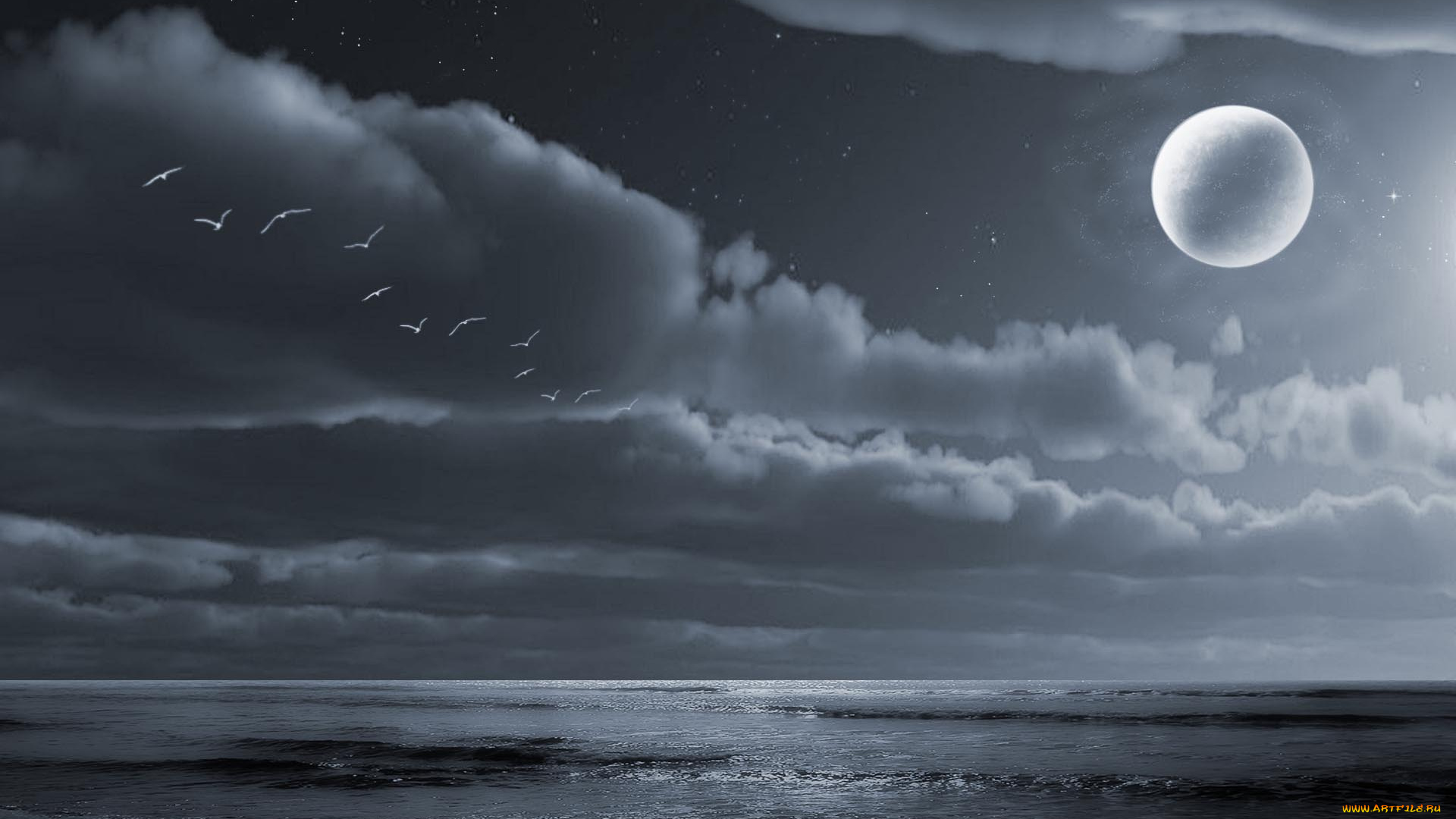 3д, графика, sea, undersea, море, тучи, планета, горизонт, океан, птицы