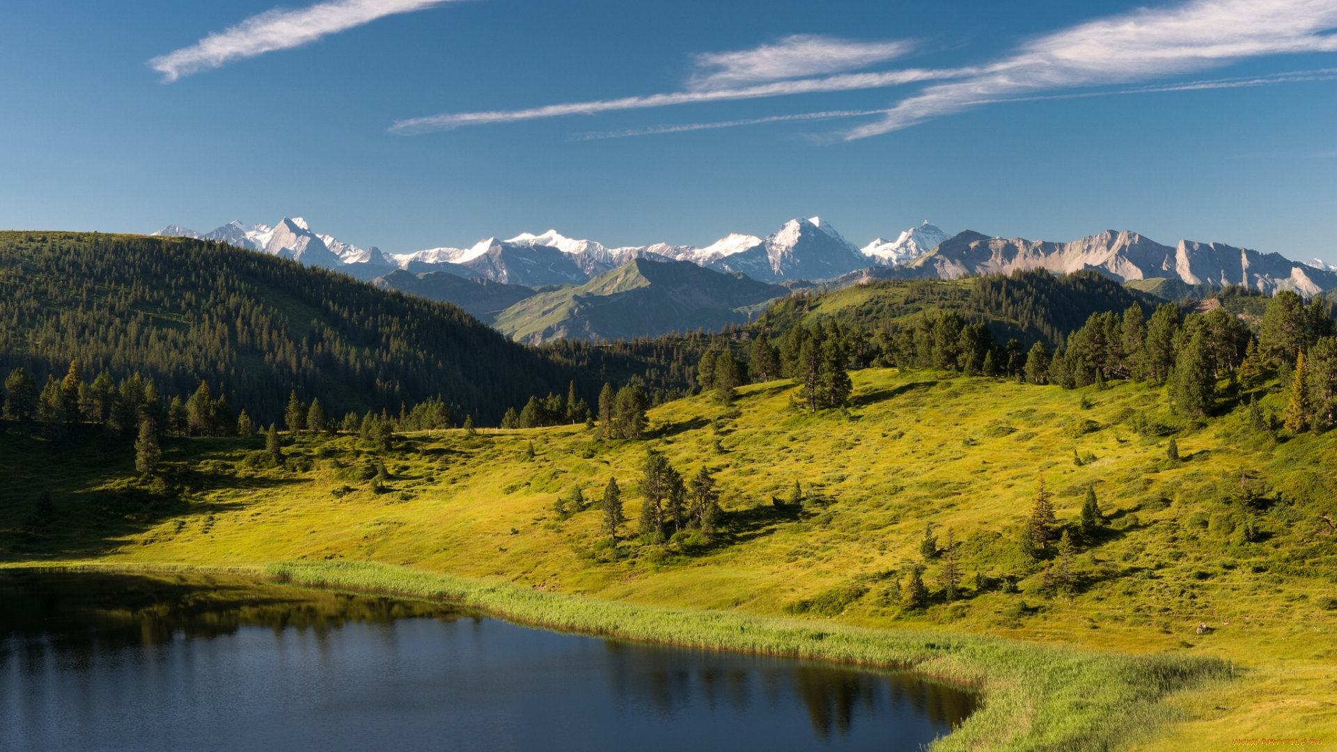sewenseeli, lake, entlebuch, switzerland, природа, реки, озера, деревья, горы, альпы, озеро, лес, швейцария, энтлебух, alps