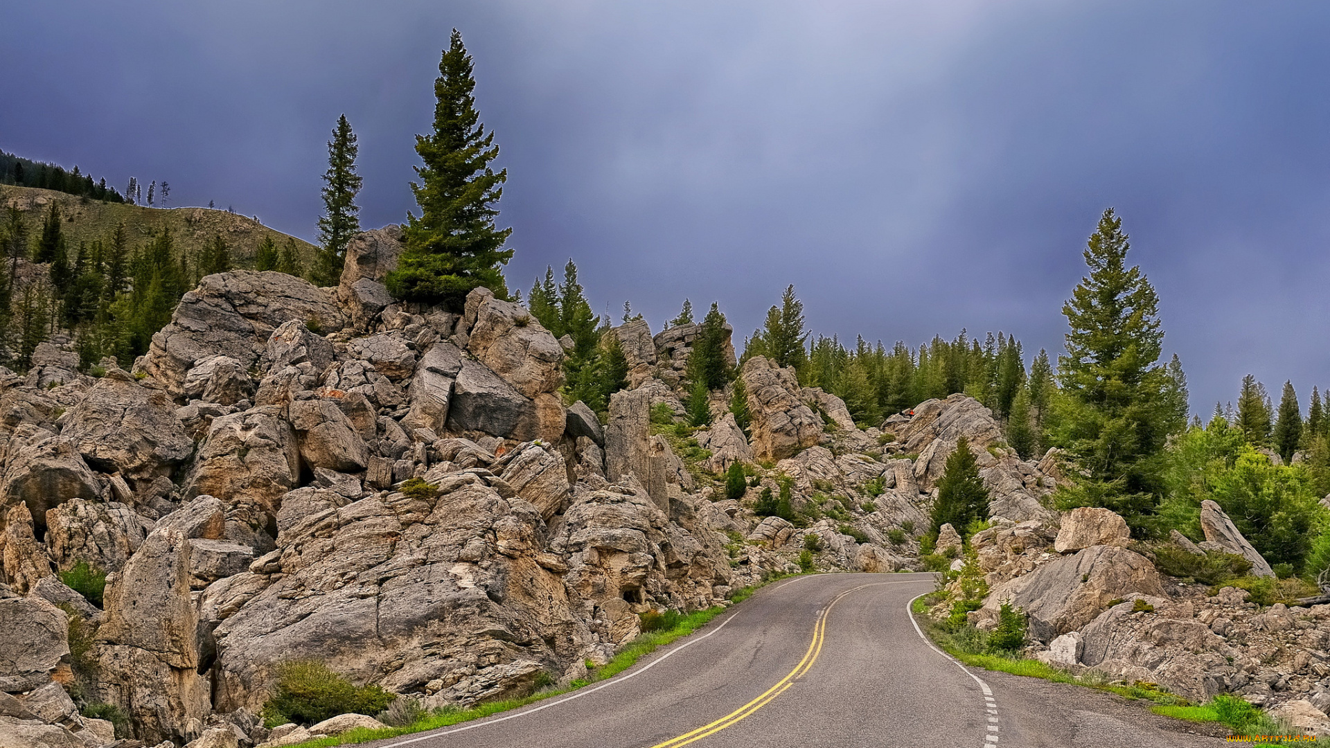 yellowstone, national, park, wyoming, природа, дороги, йеллоустон, вайоминг, деревья, камни