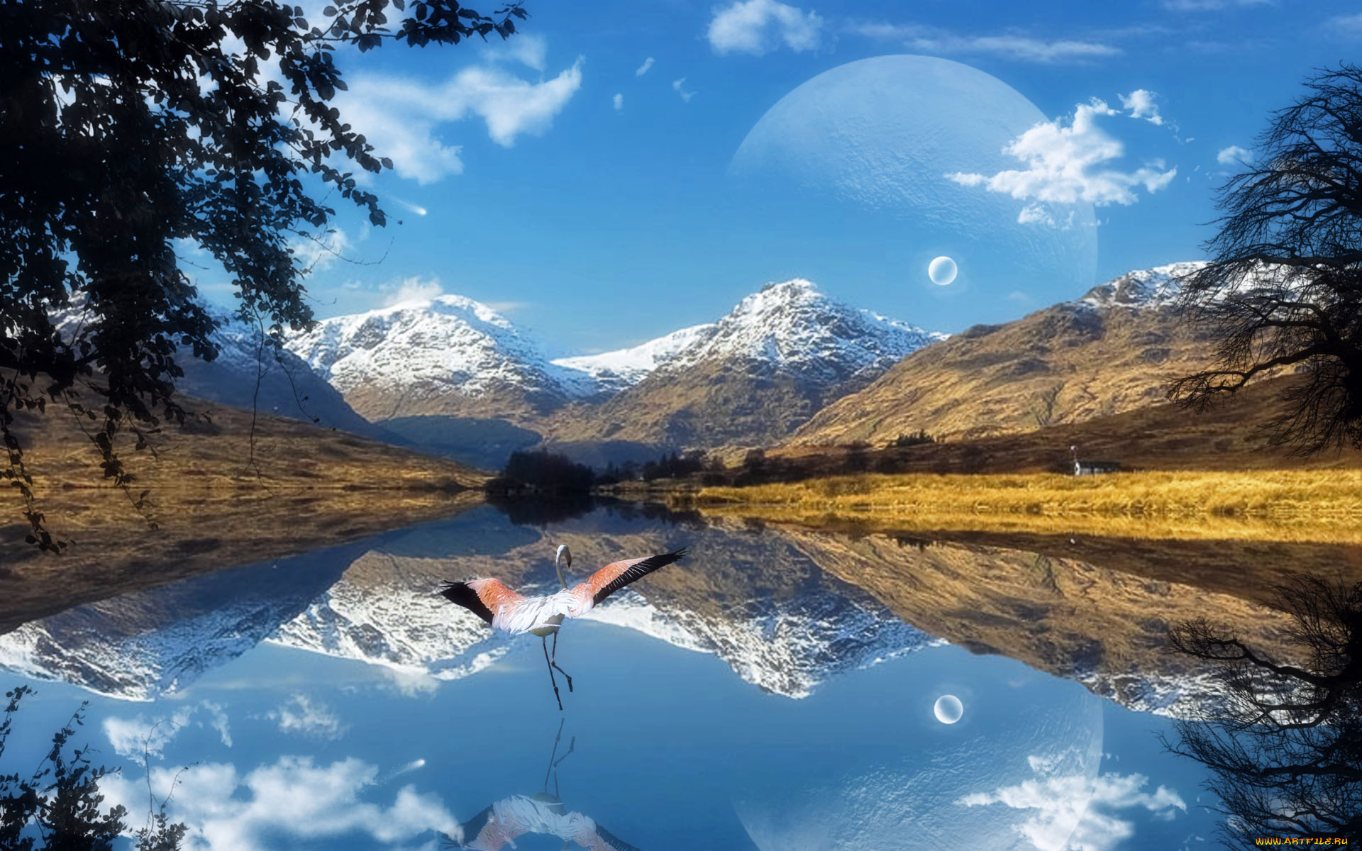 3д, графика, atmosphere, mood, атмосфера, настроения, планета, отражение, горы, фламинго, озеро