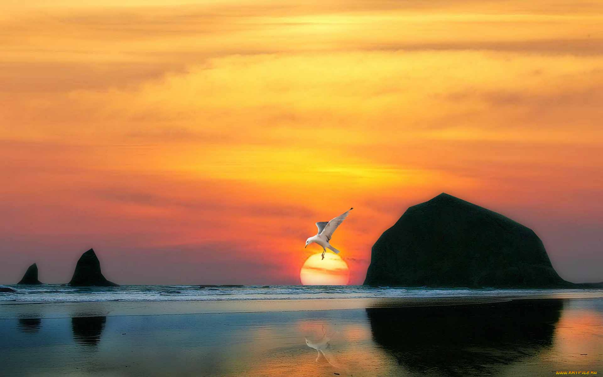 3д, графика, nature, landscape, природа, чайка, скалы, тучи, океан