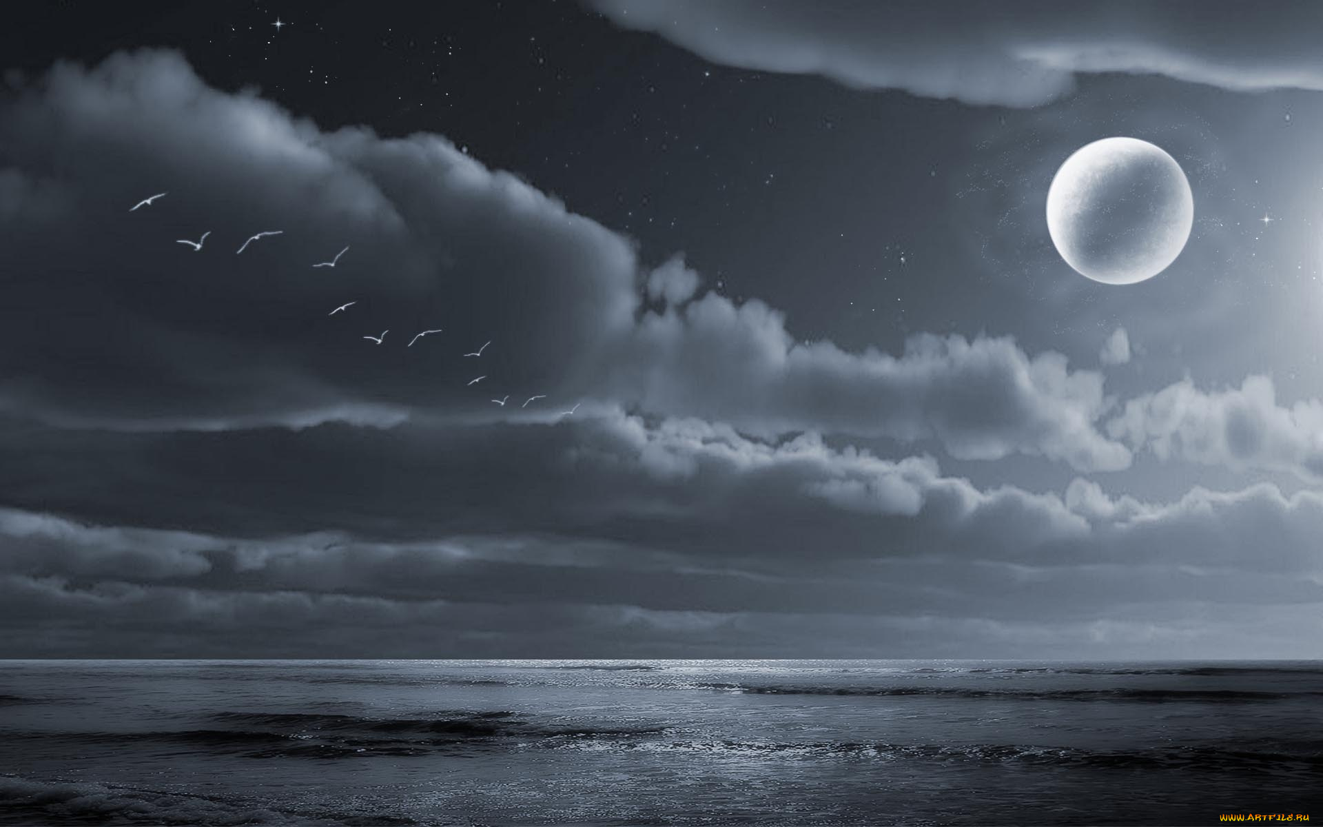 3д, графика, sea, undersea, море, тучи, планета, горизонт, океан, птицы