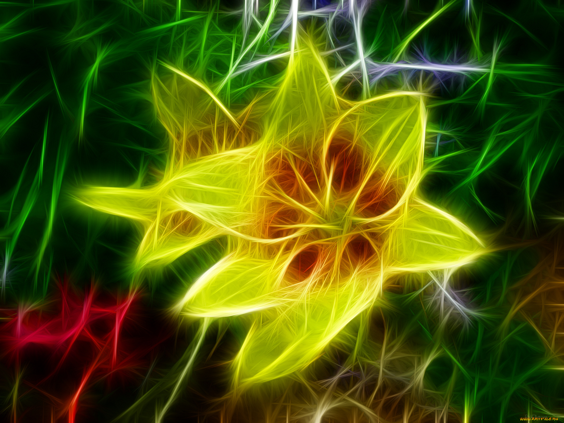 3д, графика, flowers, цветы, лепестки