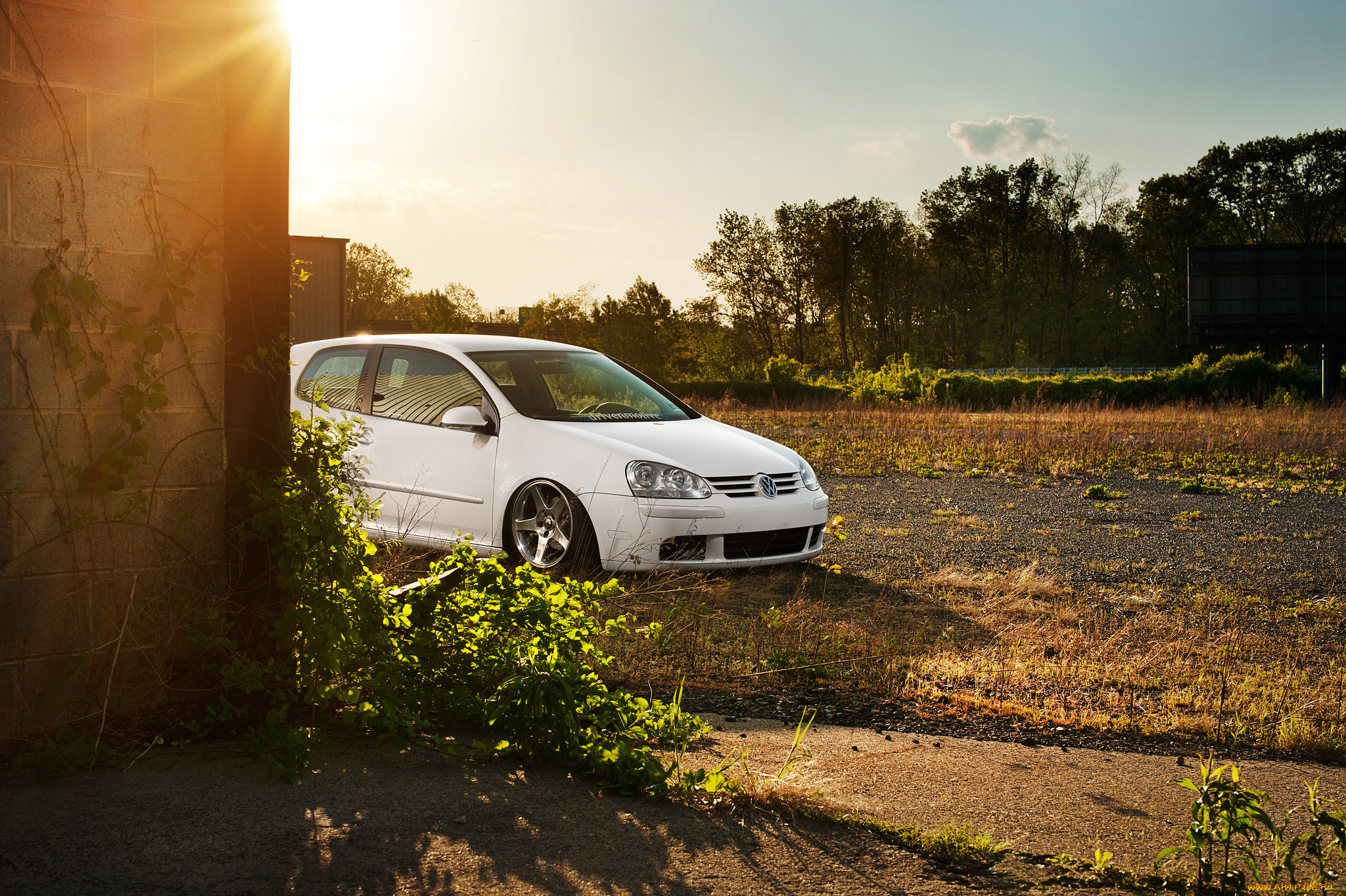 автомобили, volkswagen