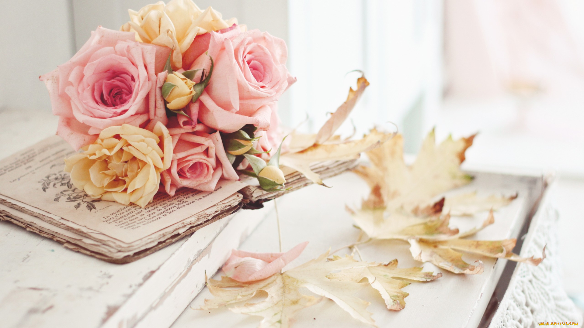 цветы, розы, натюрморт, осень, листья